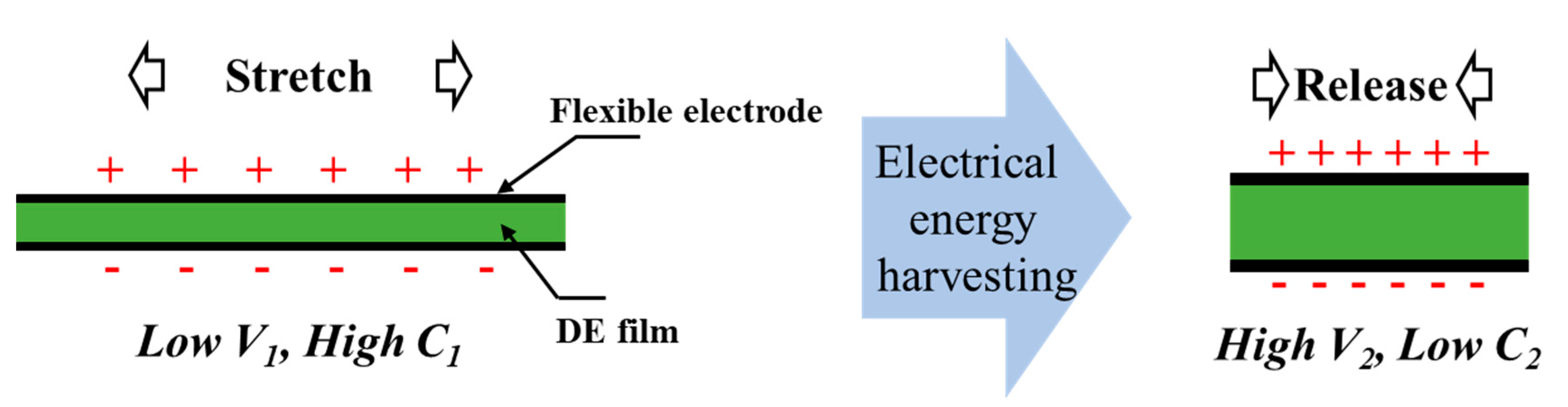 Polymers 13 04202 g001 550