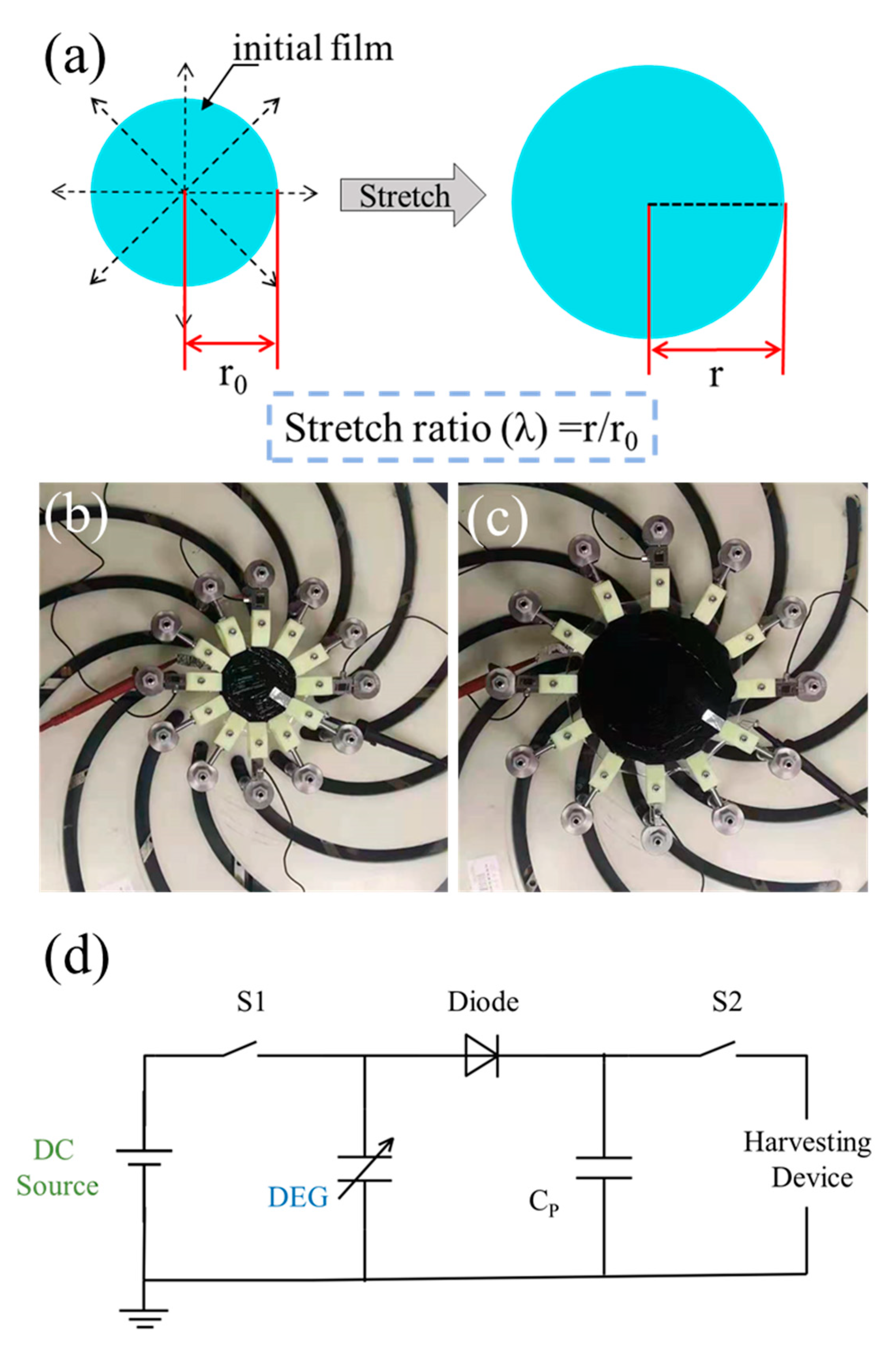 Polymers 13 04202 g003 550
