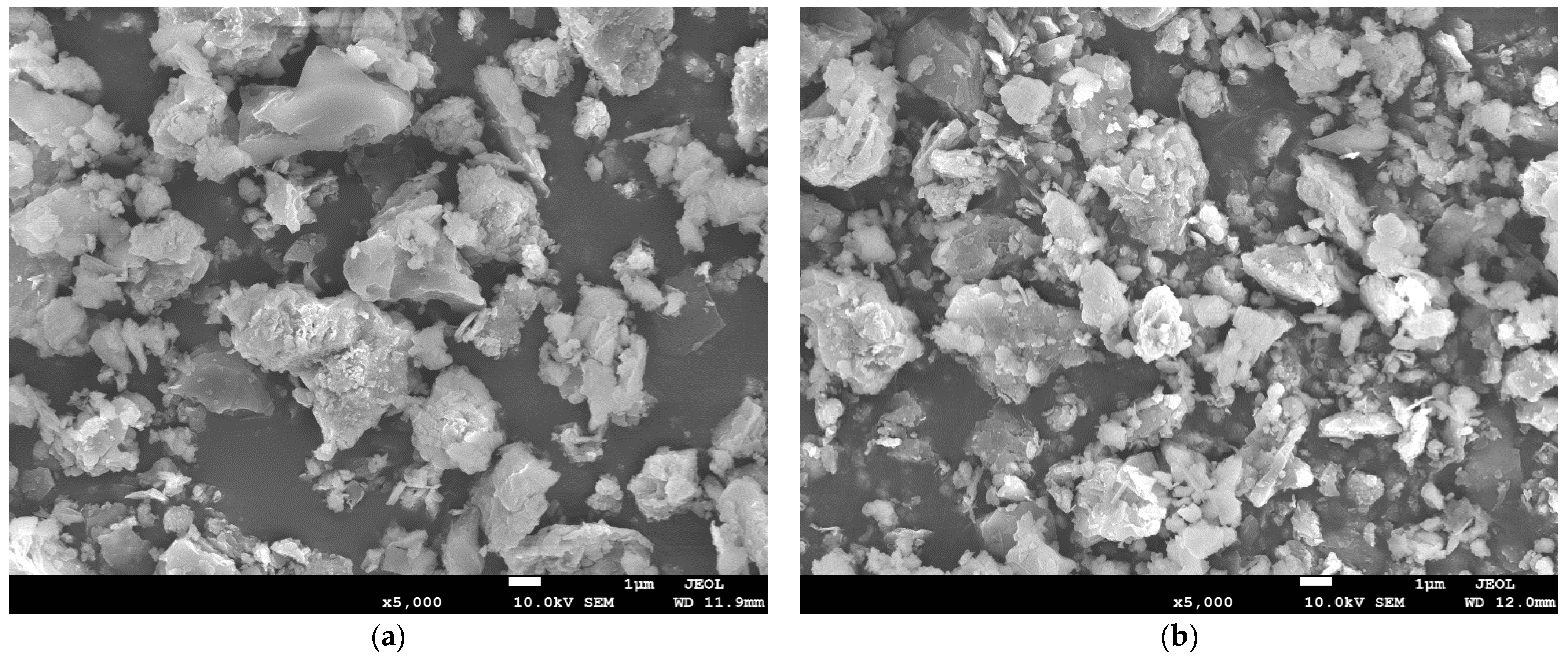 Polymers 13 04204 g004 550