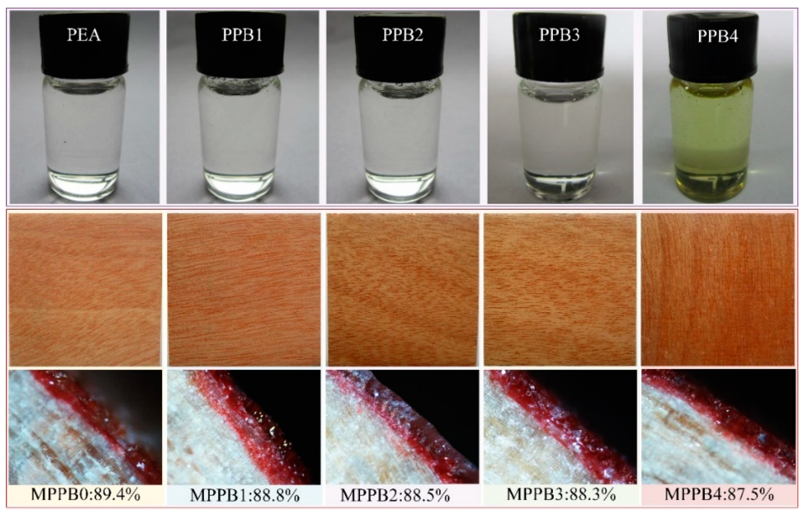 Polymers 13 04206 g004