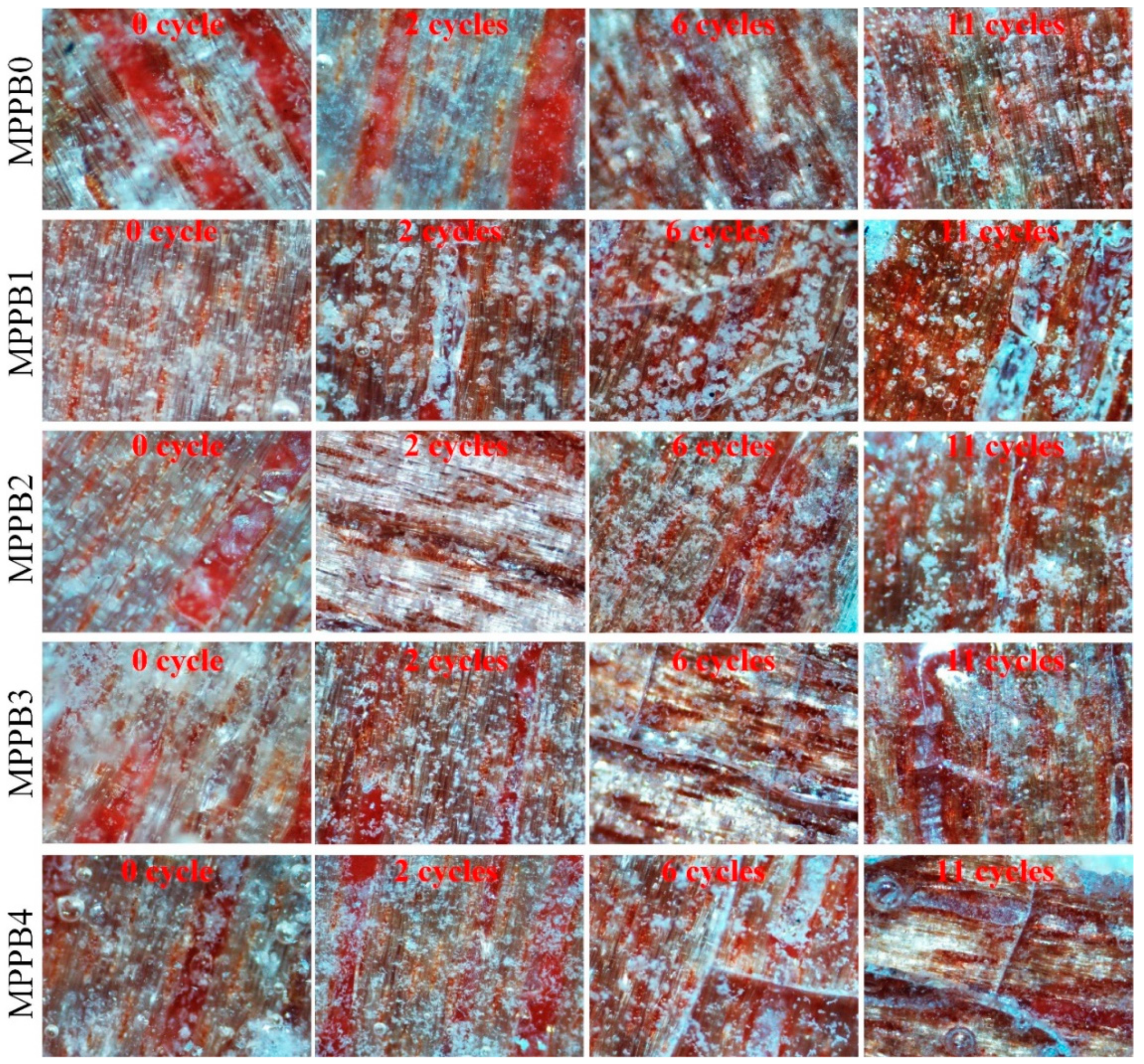 Polymers 13 04206 g010