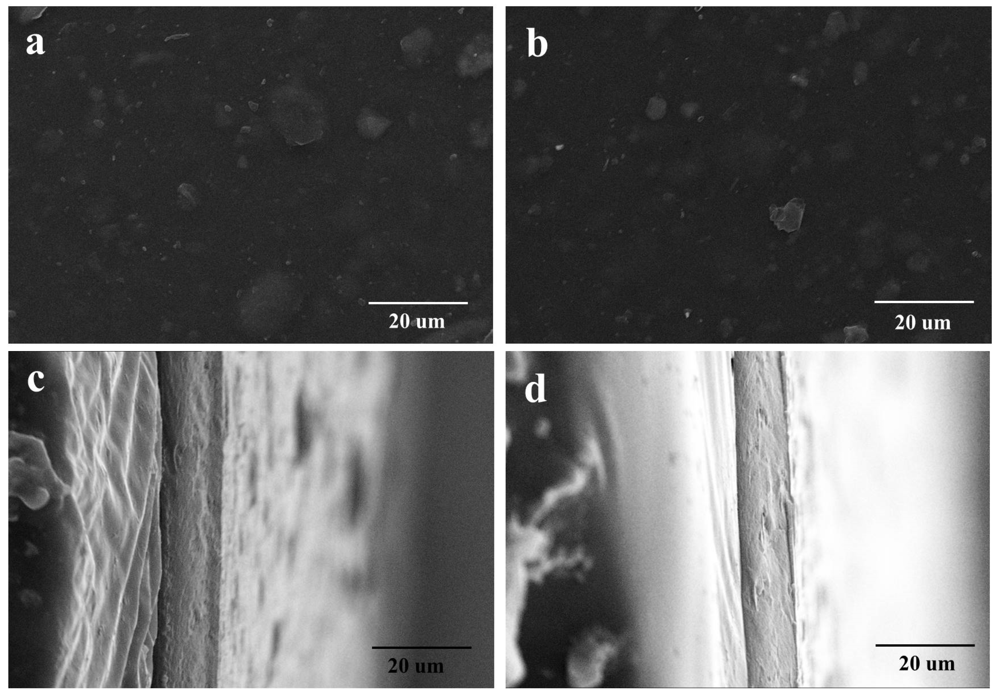 Polymers 13 04209 g007