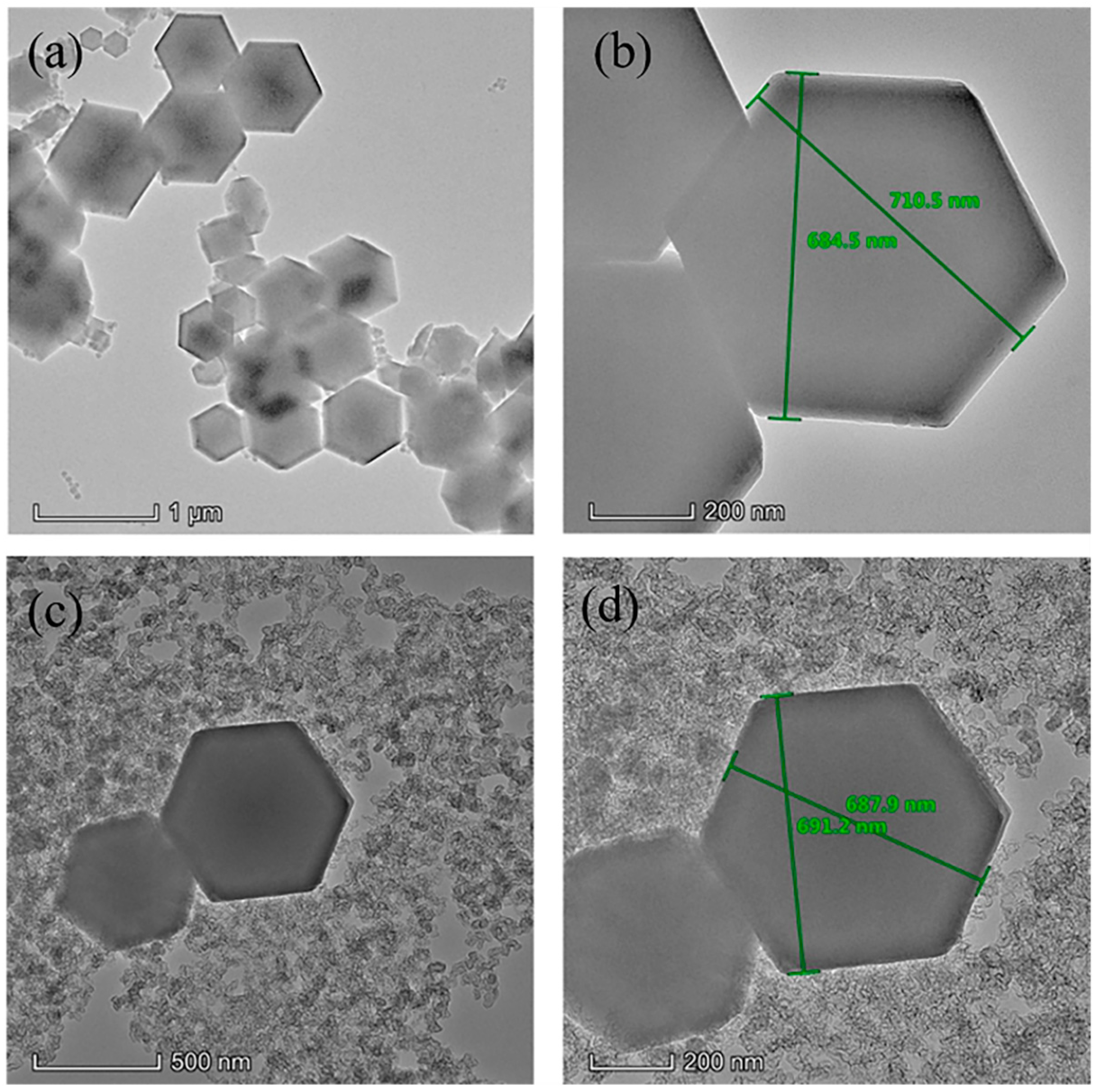 Polymers 13 04210 g003