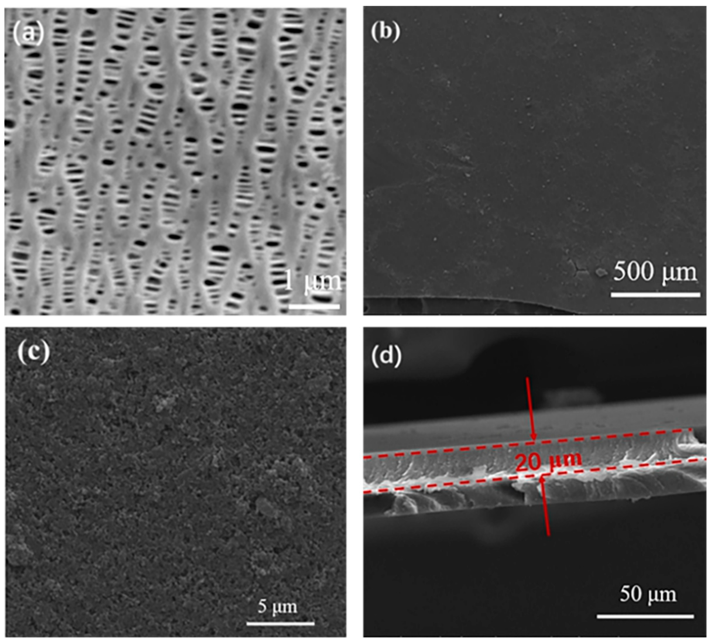 Polymers 13 04210 g004