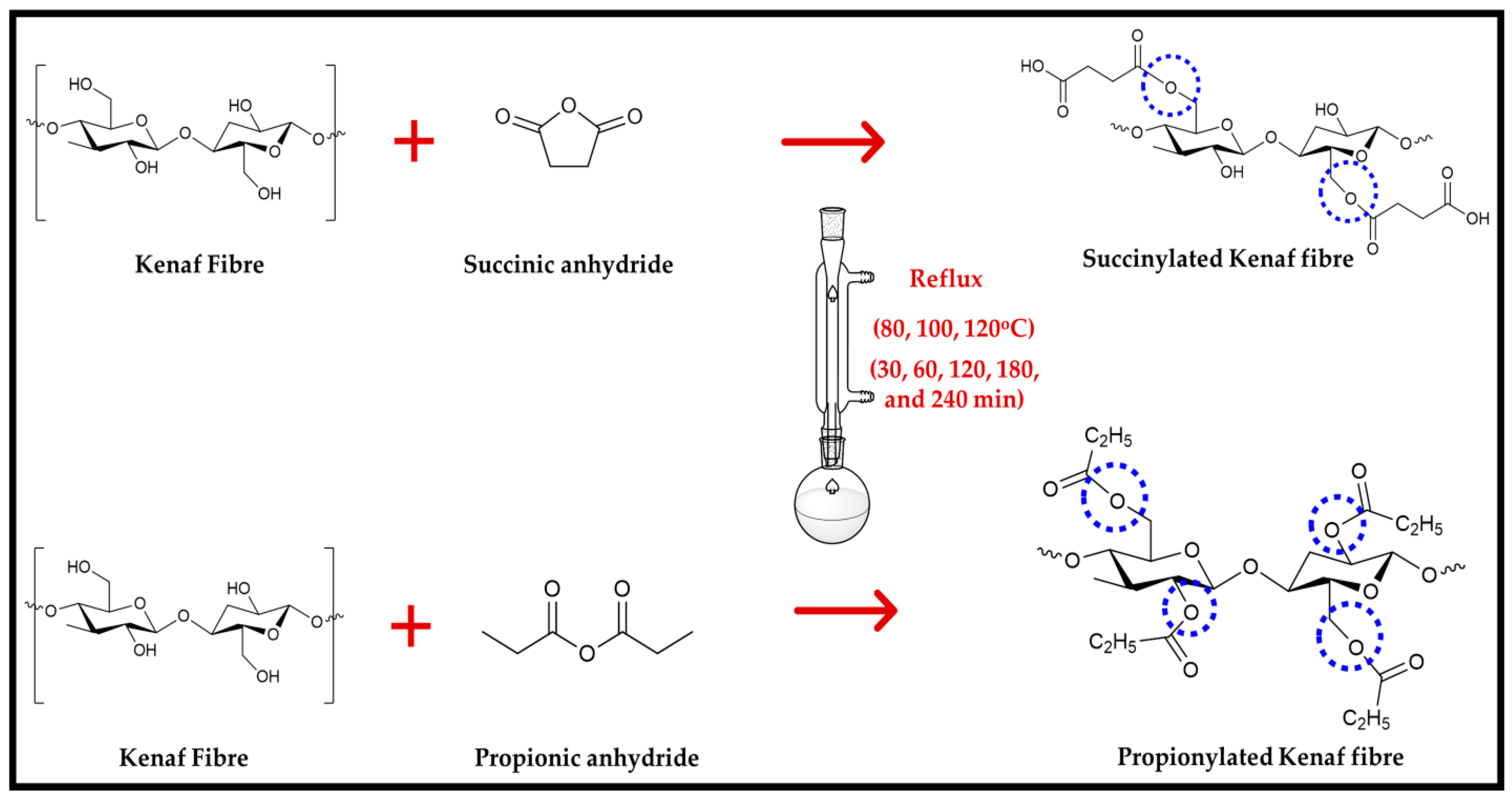 Polymers 13 04211 g001 Polymers 13 04211 g001