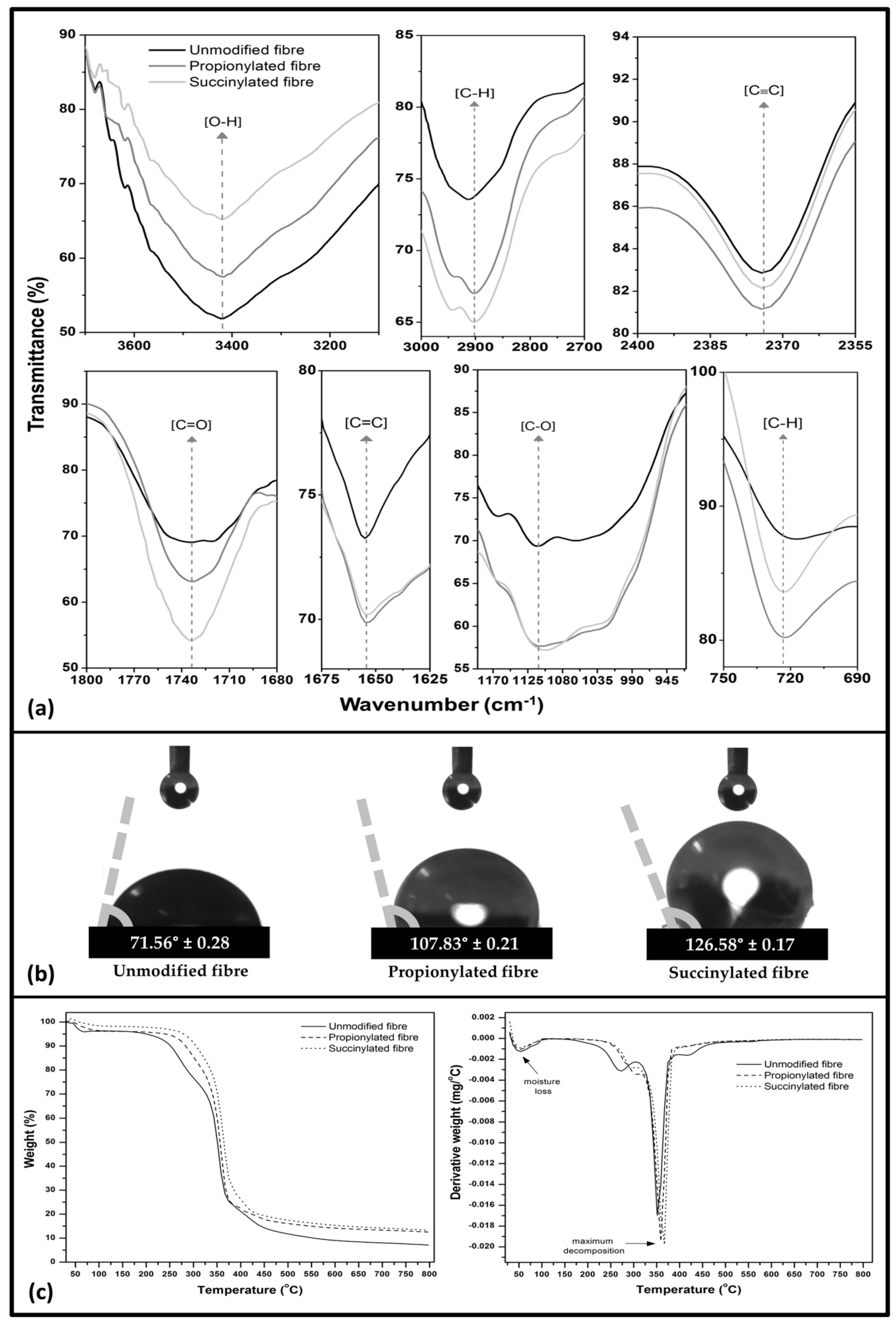 Polymers 13 04211 g004 Polymers 13 04211 g004