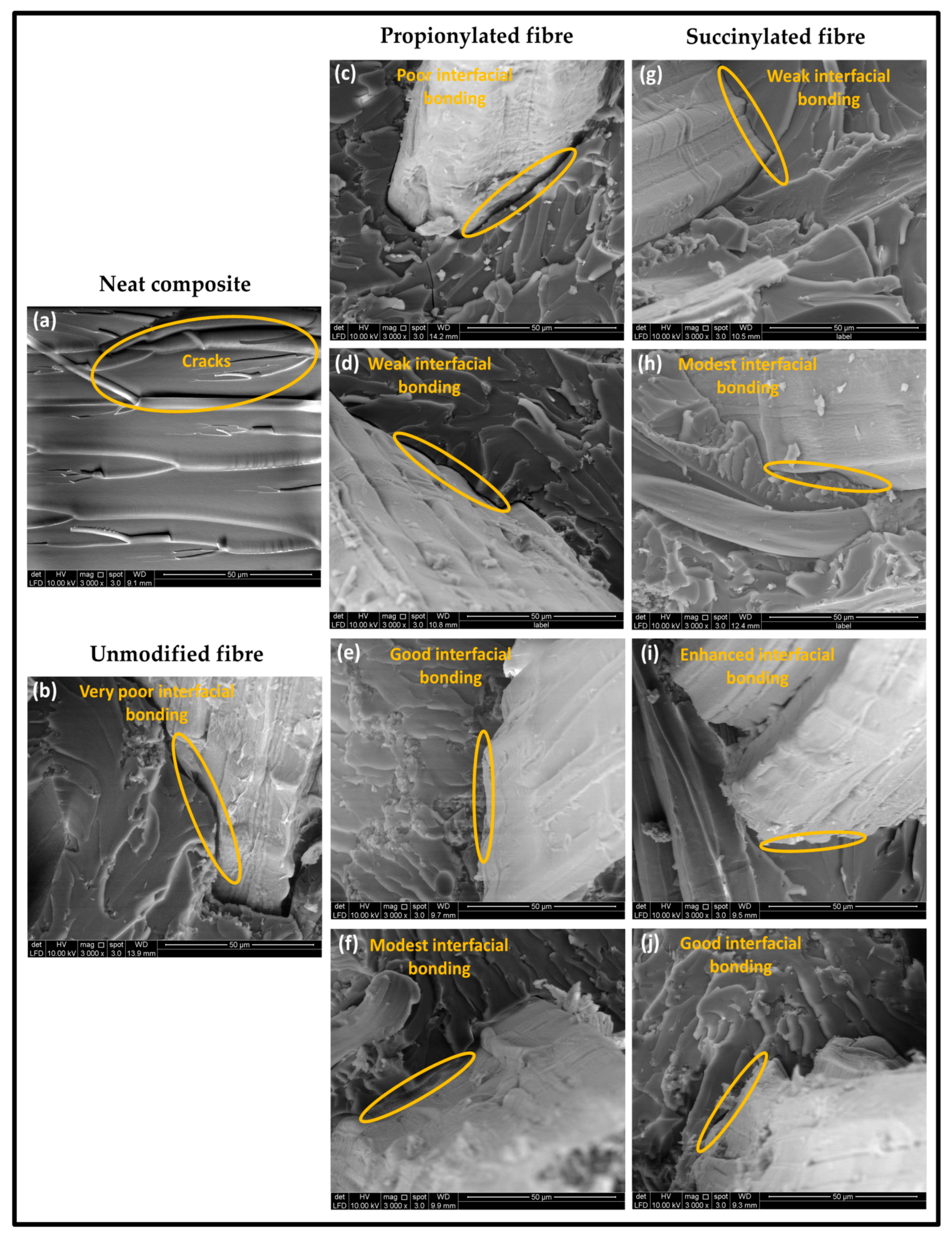 Polymers 13 04211 g009 Polymers 13 04211 g009