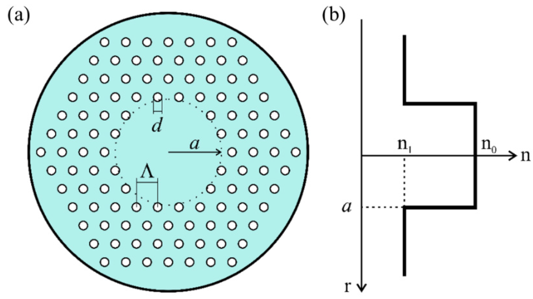 Polymers 13 04218 g001 550