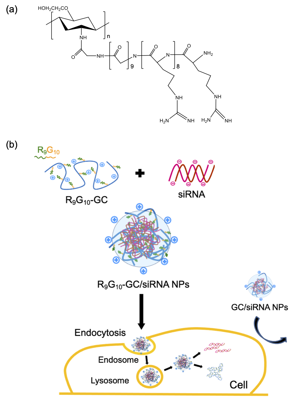 Polymers 13 04219 g001 550