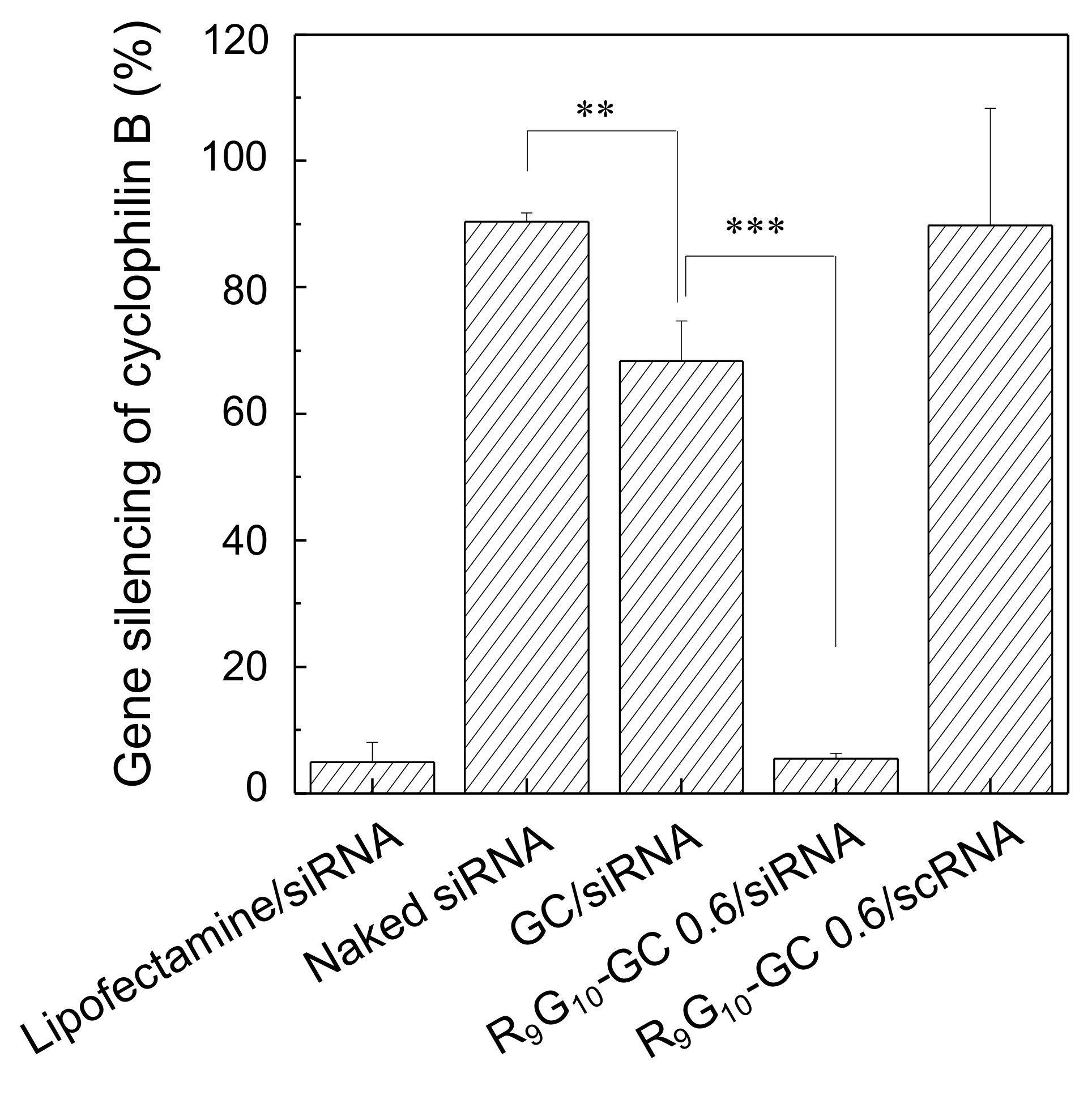 Polymers 13 04219 g008 550