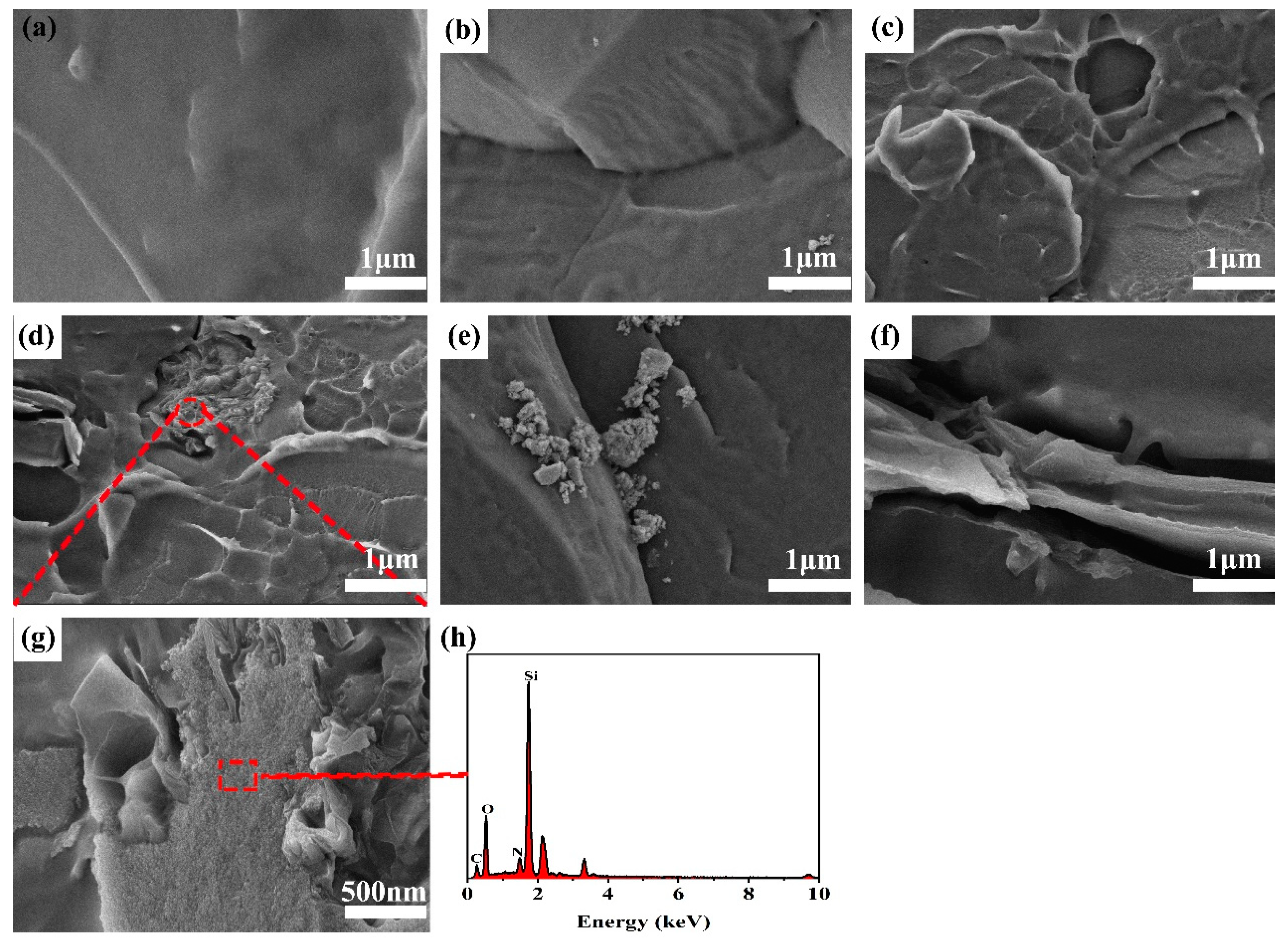 Polymers 13 04220 g007 550