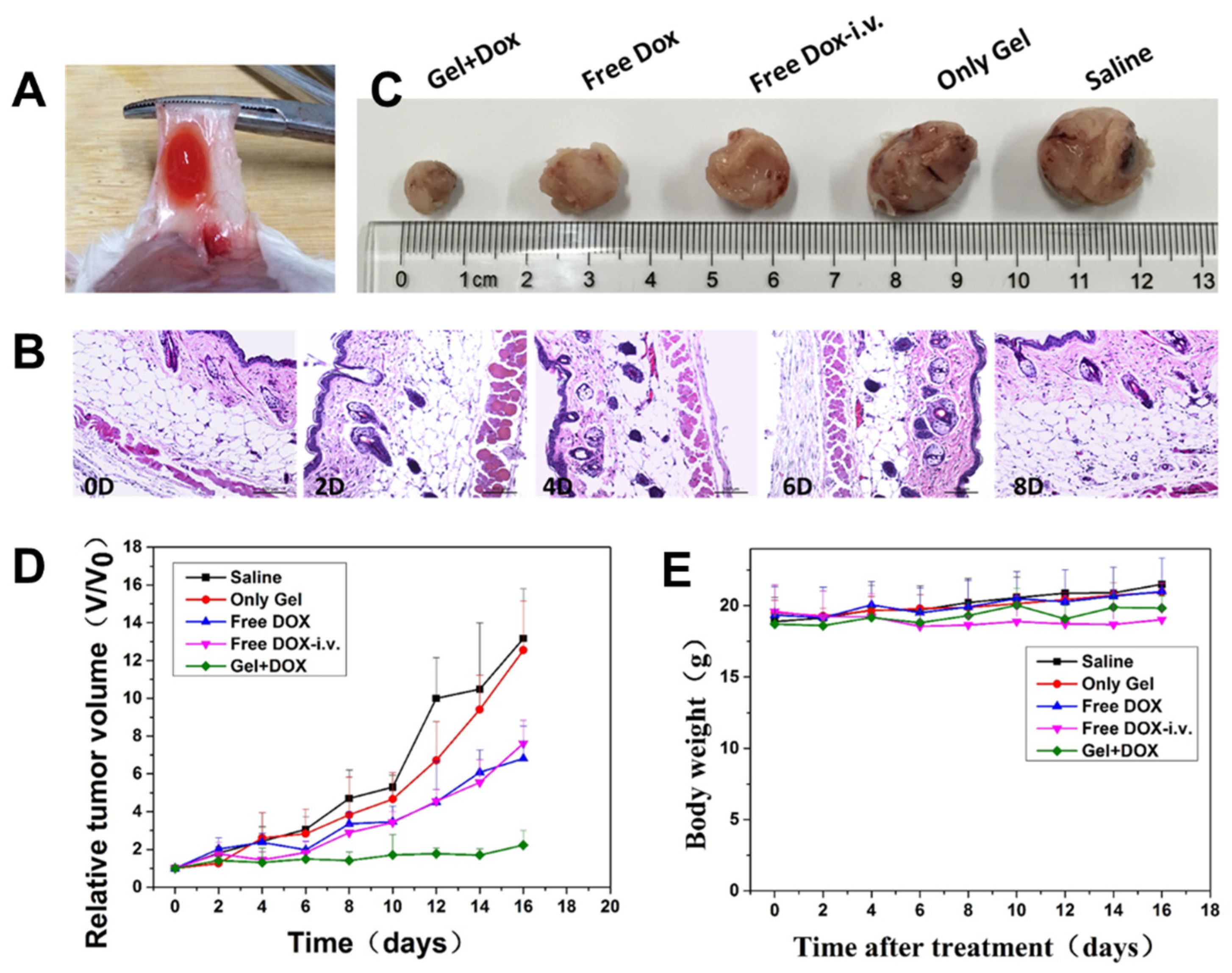 Polymers 13 04221 g005