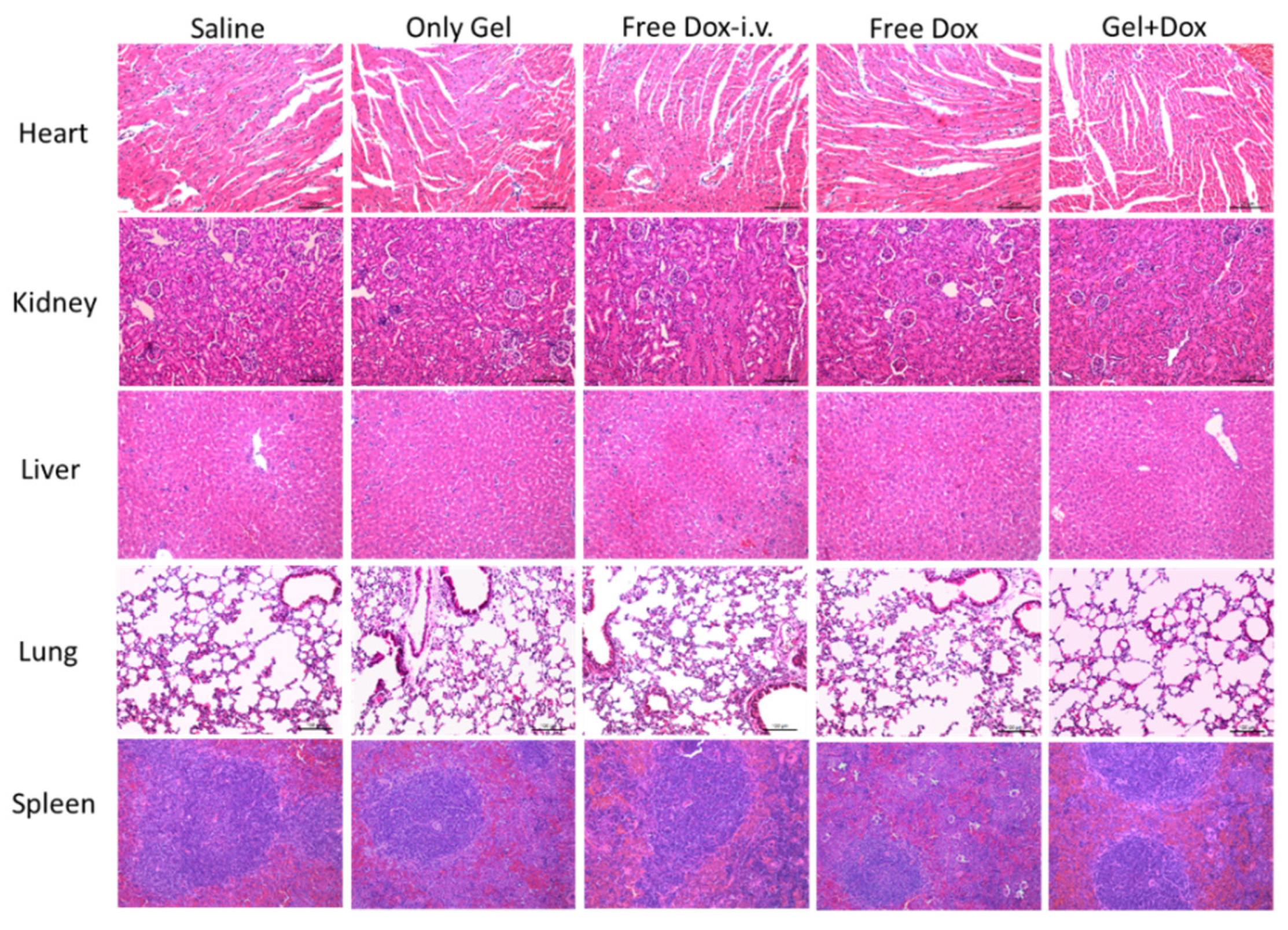 Polymers 13 04221 g007