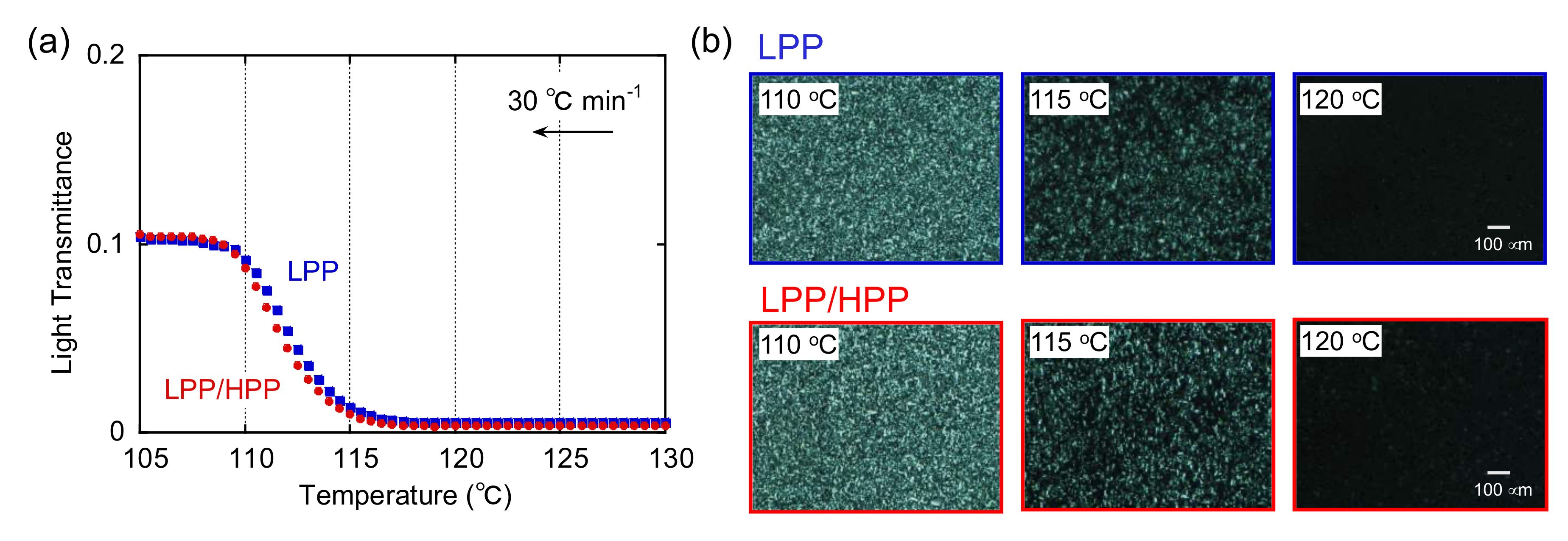 Polymers 13 04222 g008