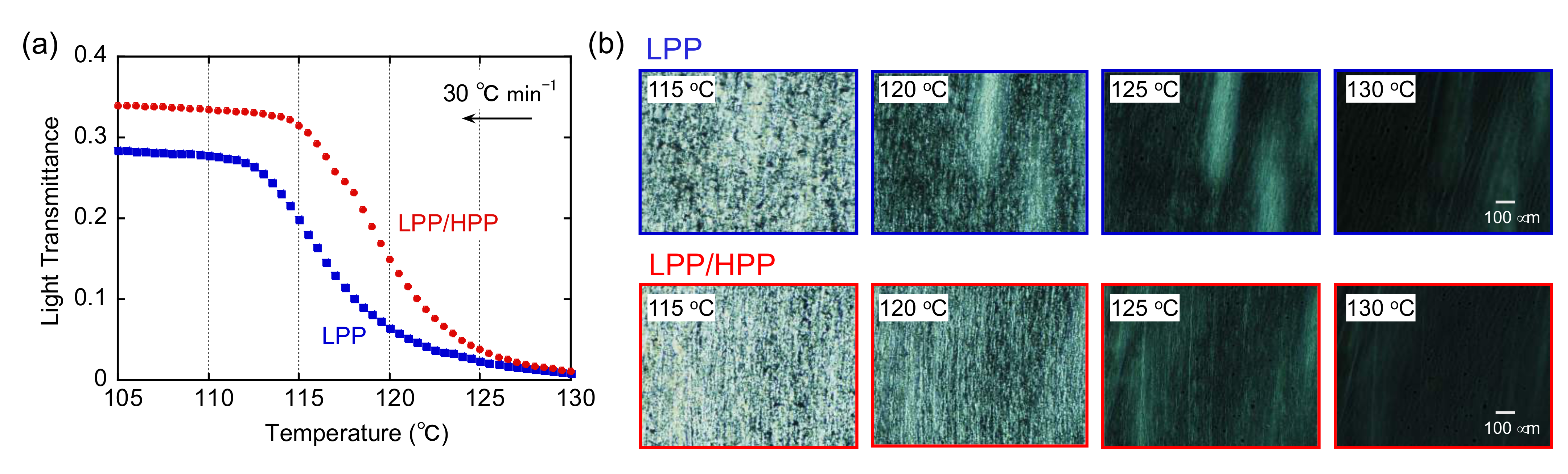 Polymers 13 04222 g009