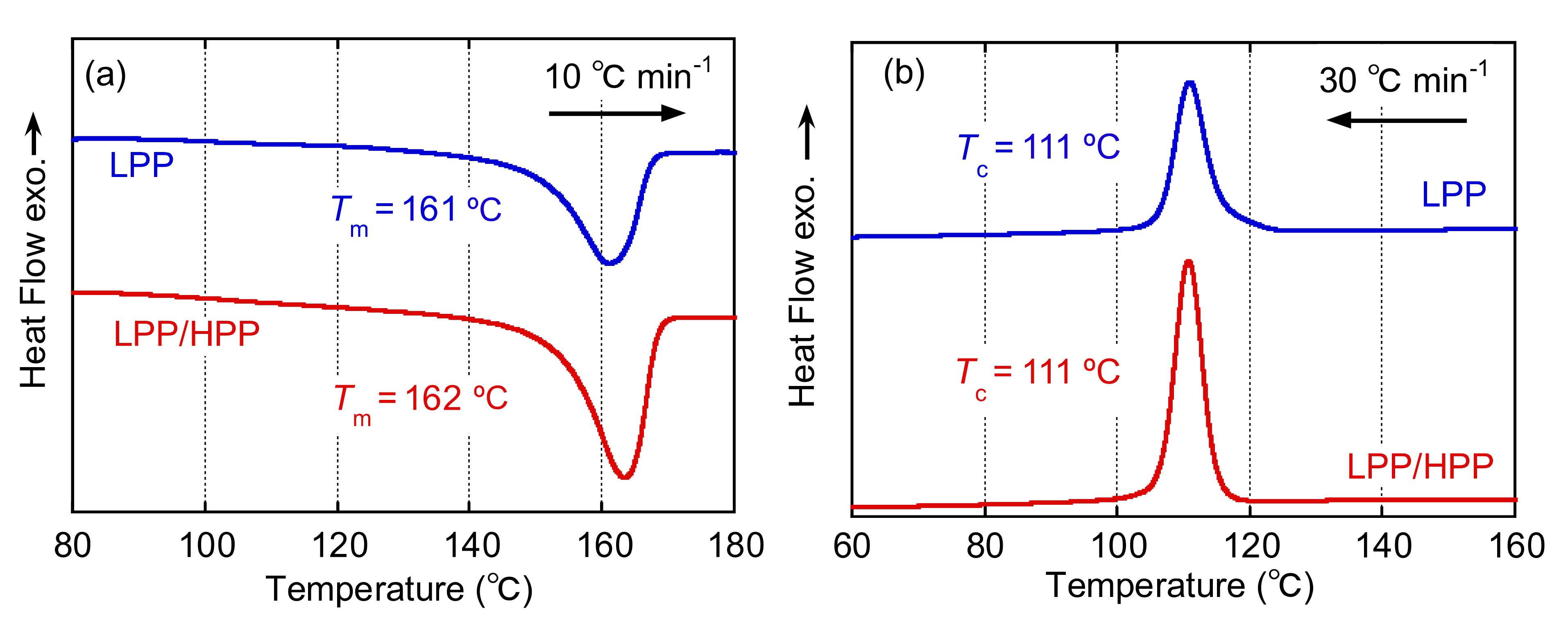 Polymers 13 04222 g010