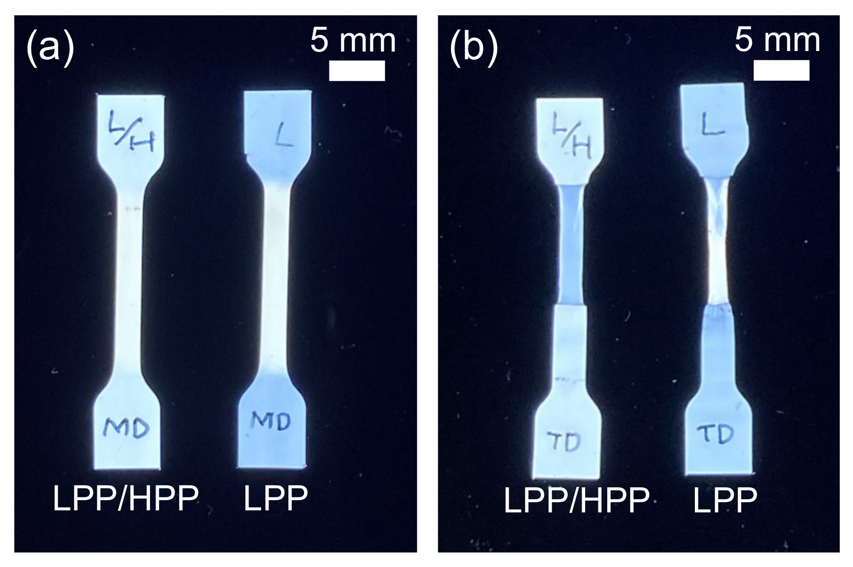Polymers 13 04222 g018