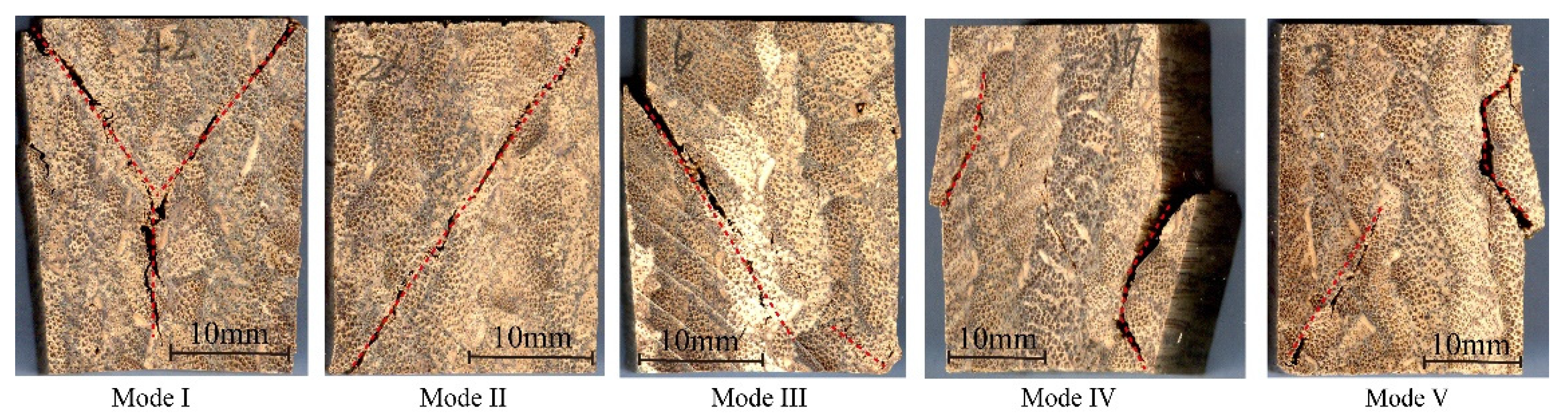 Polymers 13 04223 g007 550