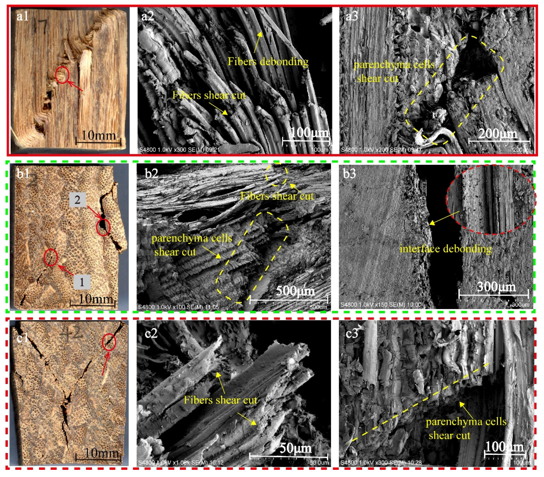 Polymers 13 04223 g009 550