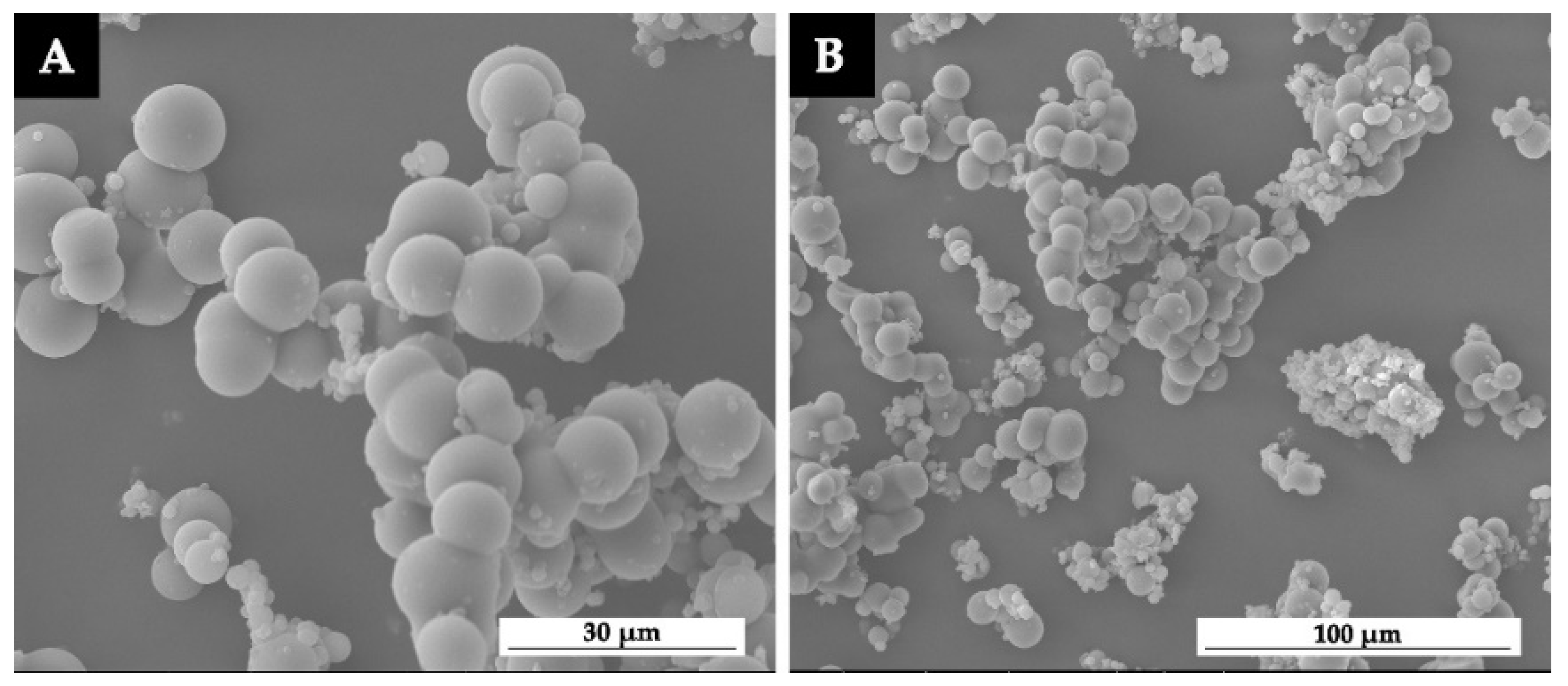 Polymers 13 04228 g001 550