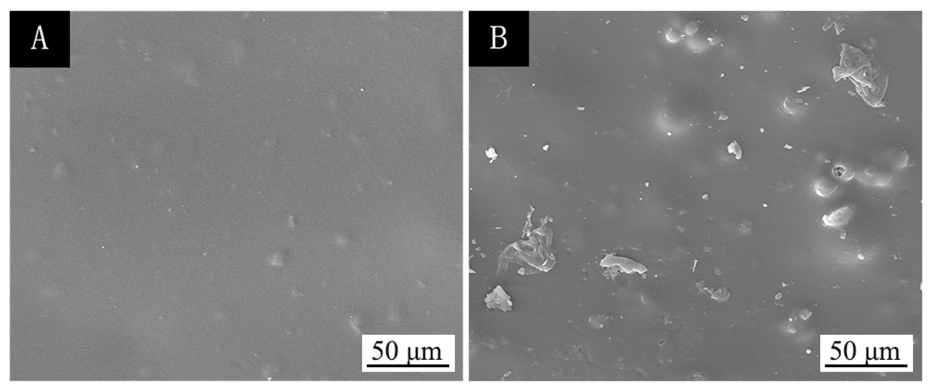 Polymers 13 04228 g003 550
