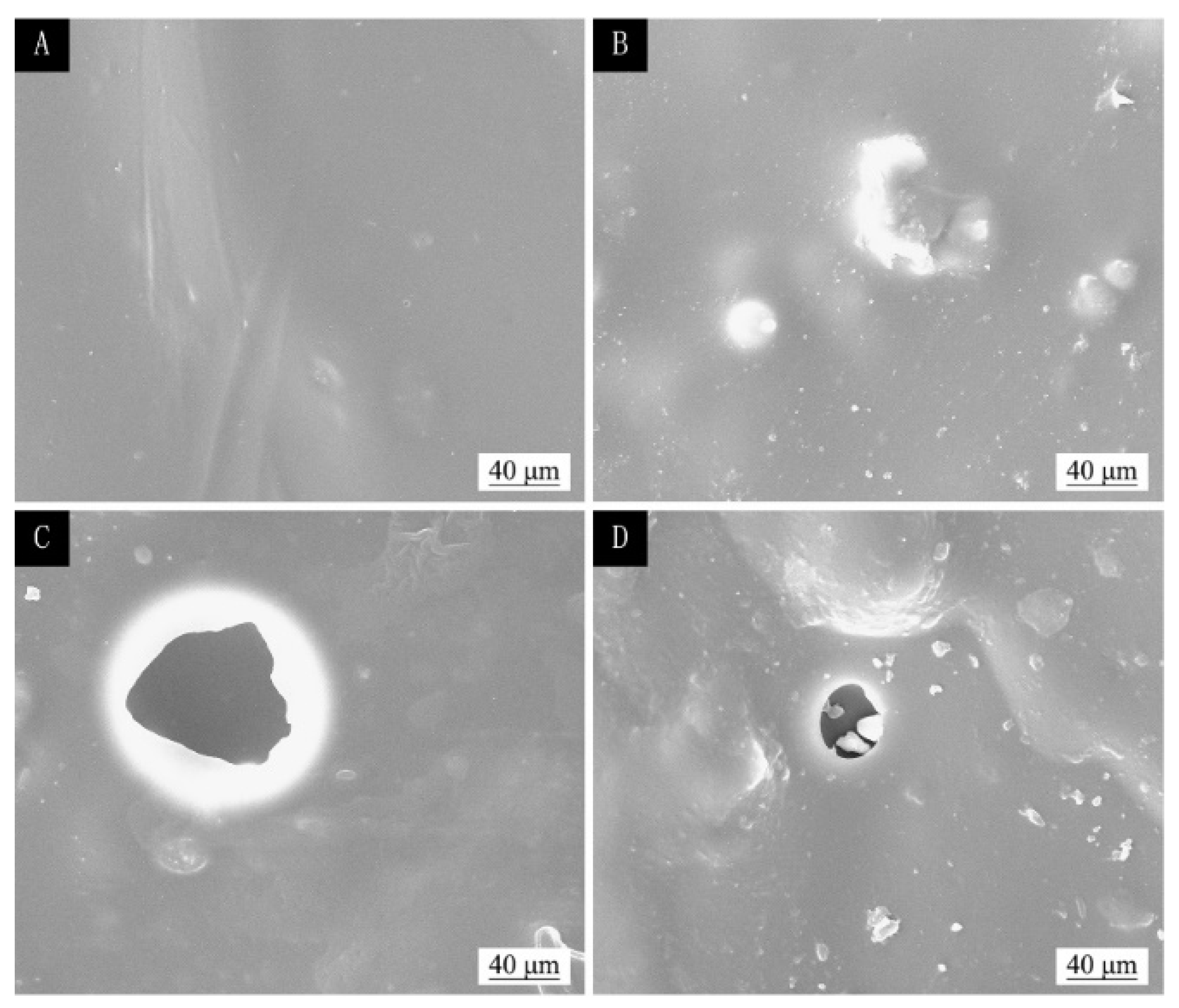 Polymers 13 04228 g011 550
