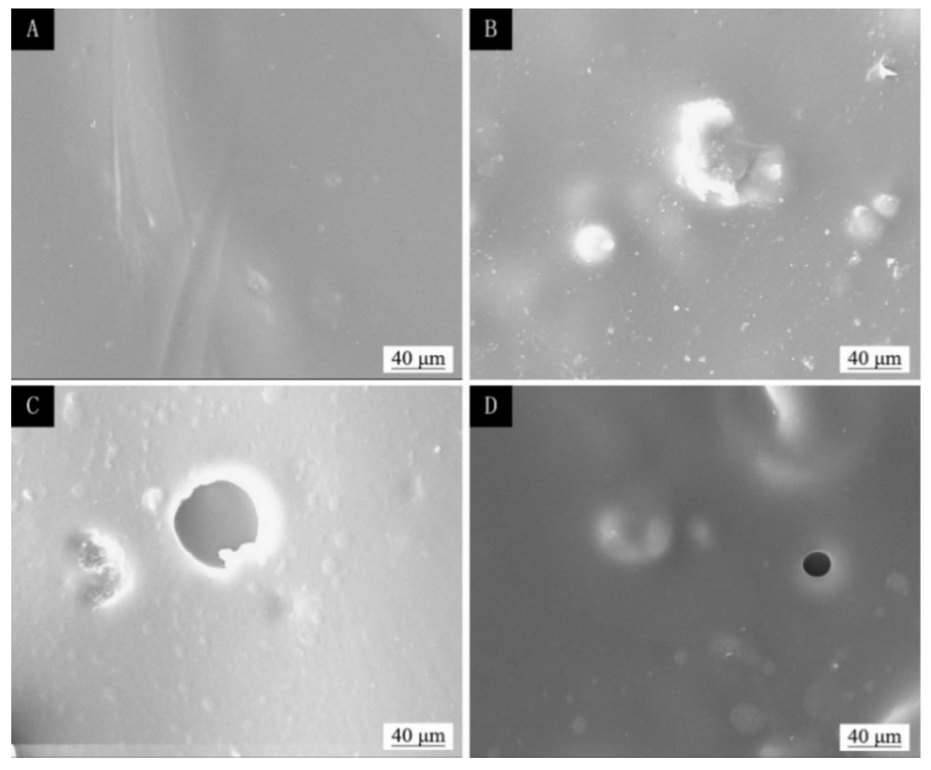 Polymers 13 04228 g012 550