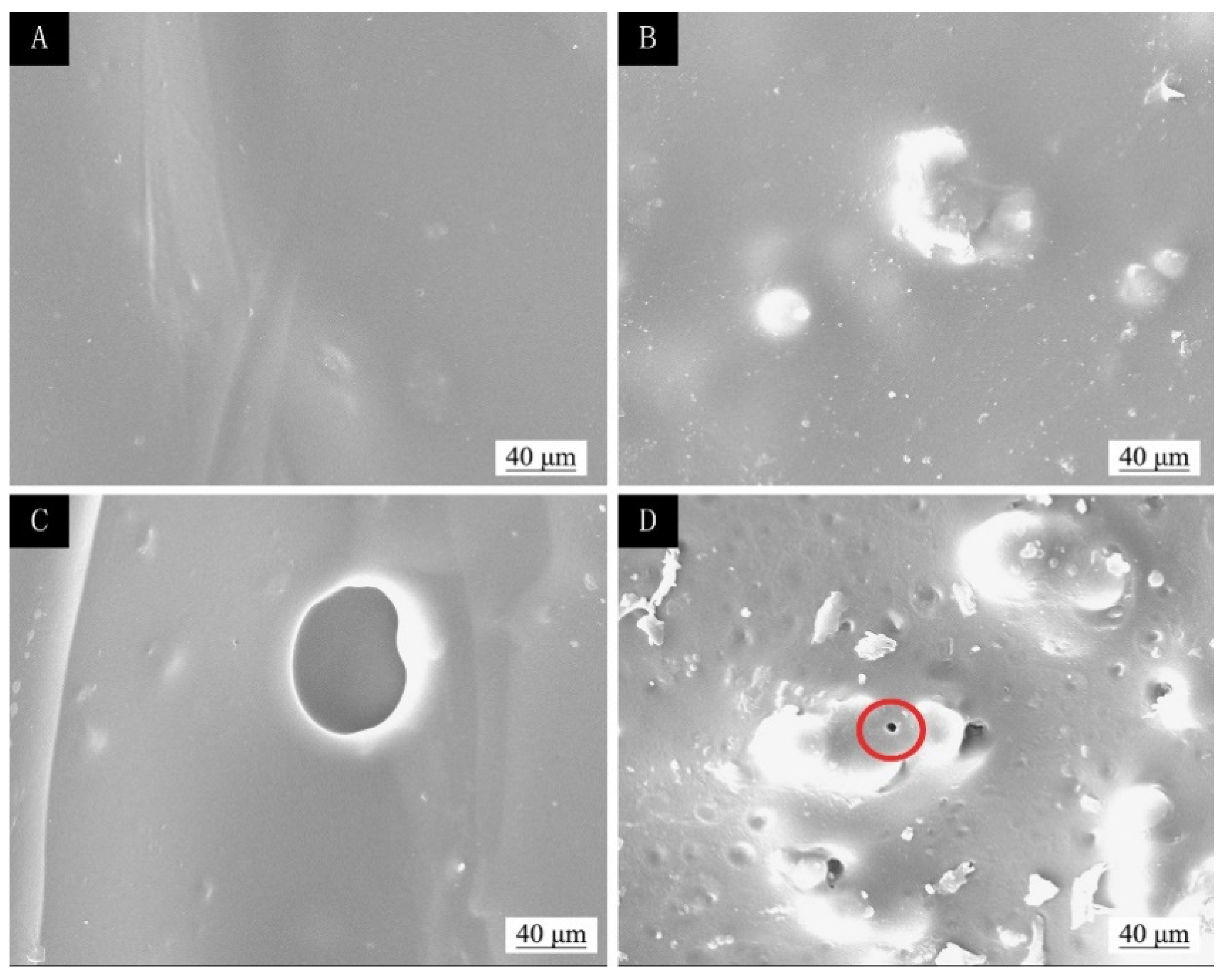 Polymers 13 04228 g013 550