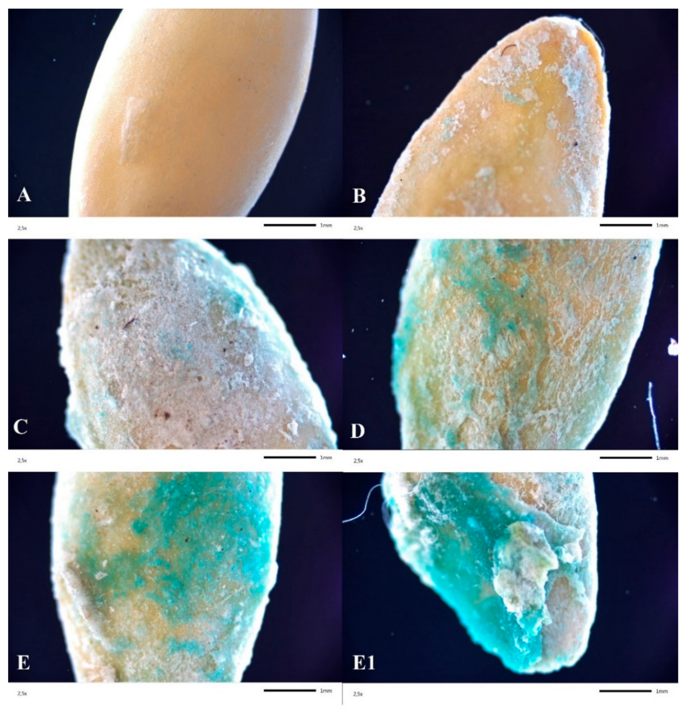 Polymers 13 04233 g002