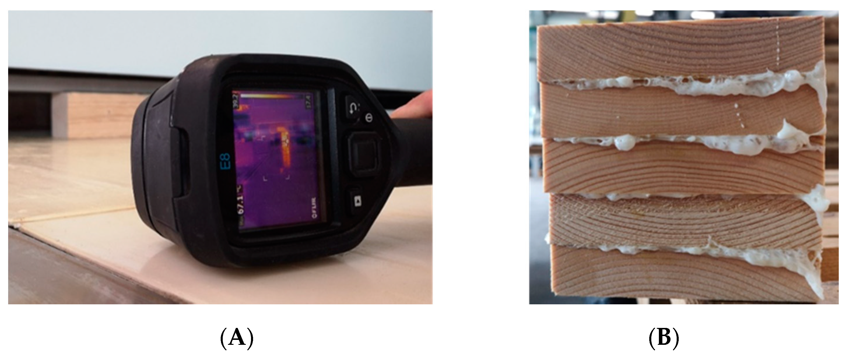 Polymers 13 04237 g004