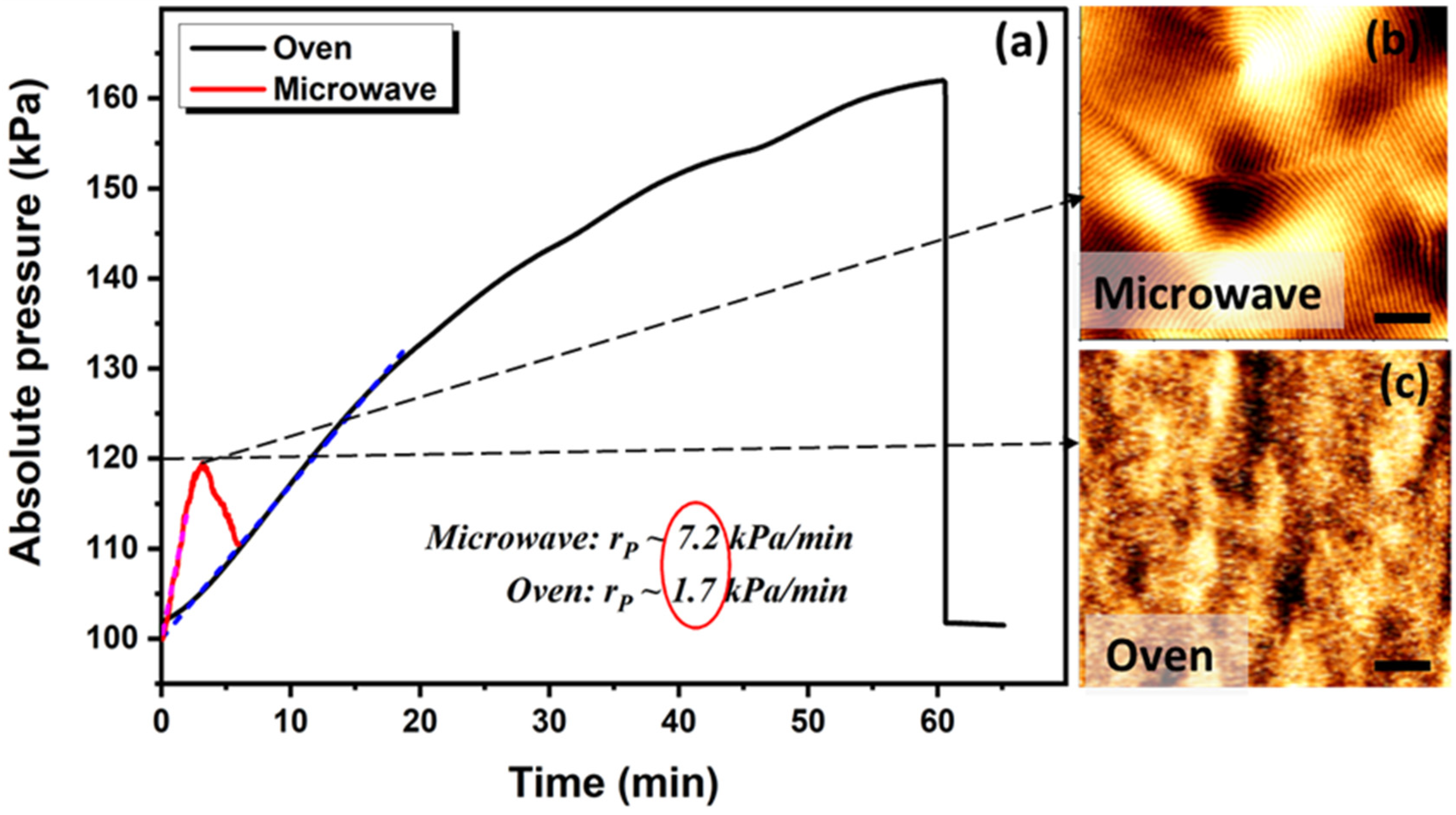Polymers 13 04238 g001