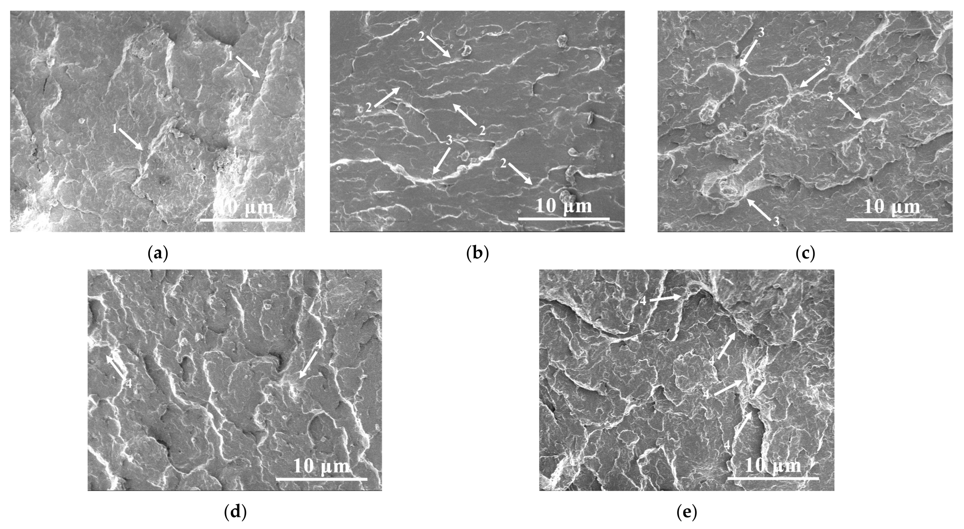 Polymers 13 04242 g007