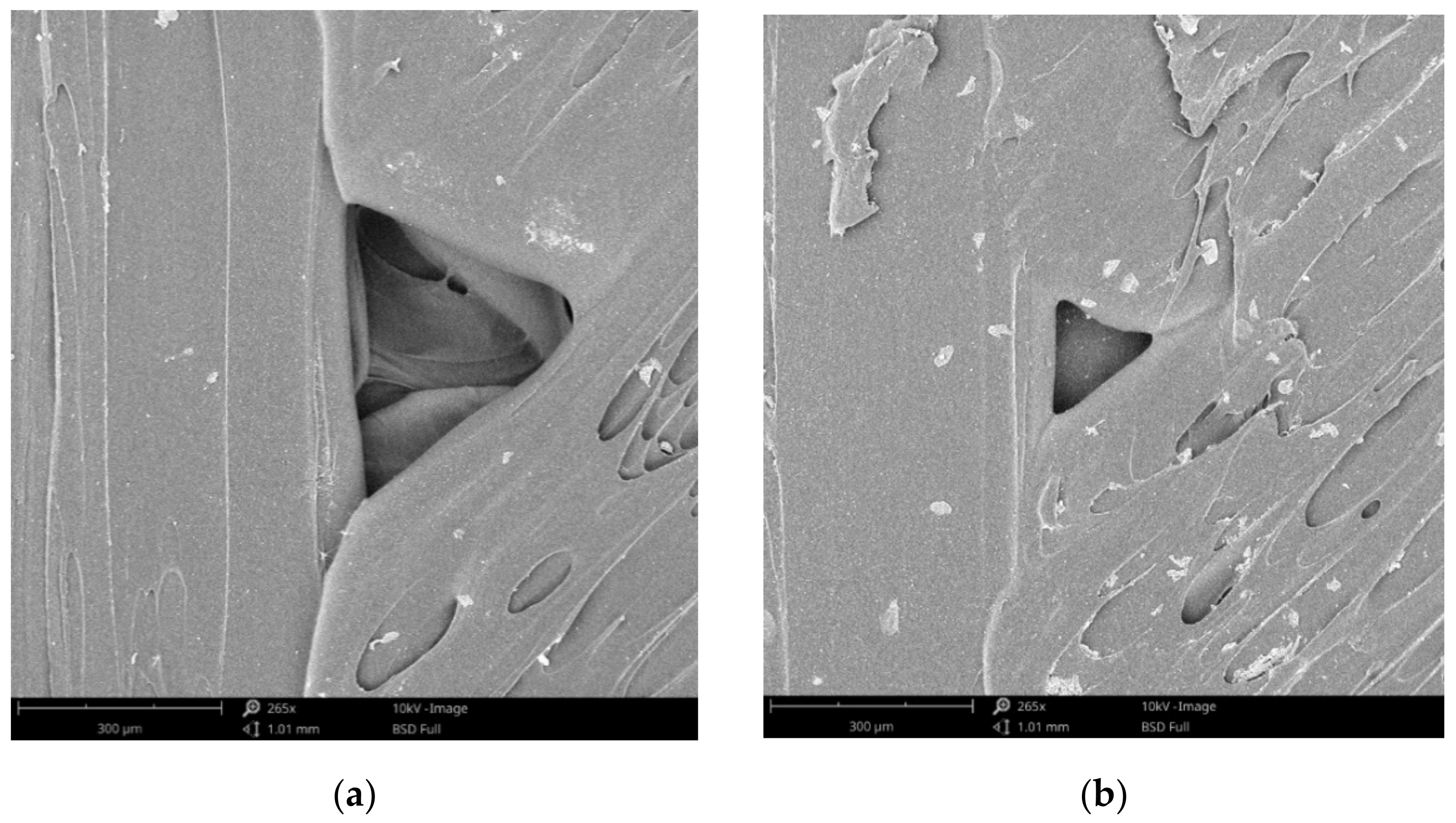 Polymers 13 04249 g009a 550