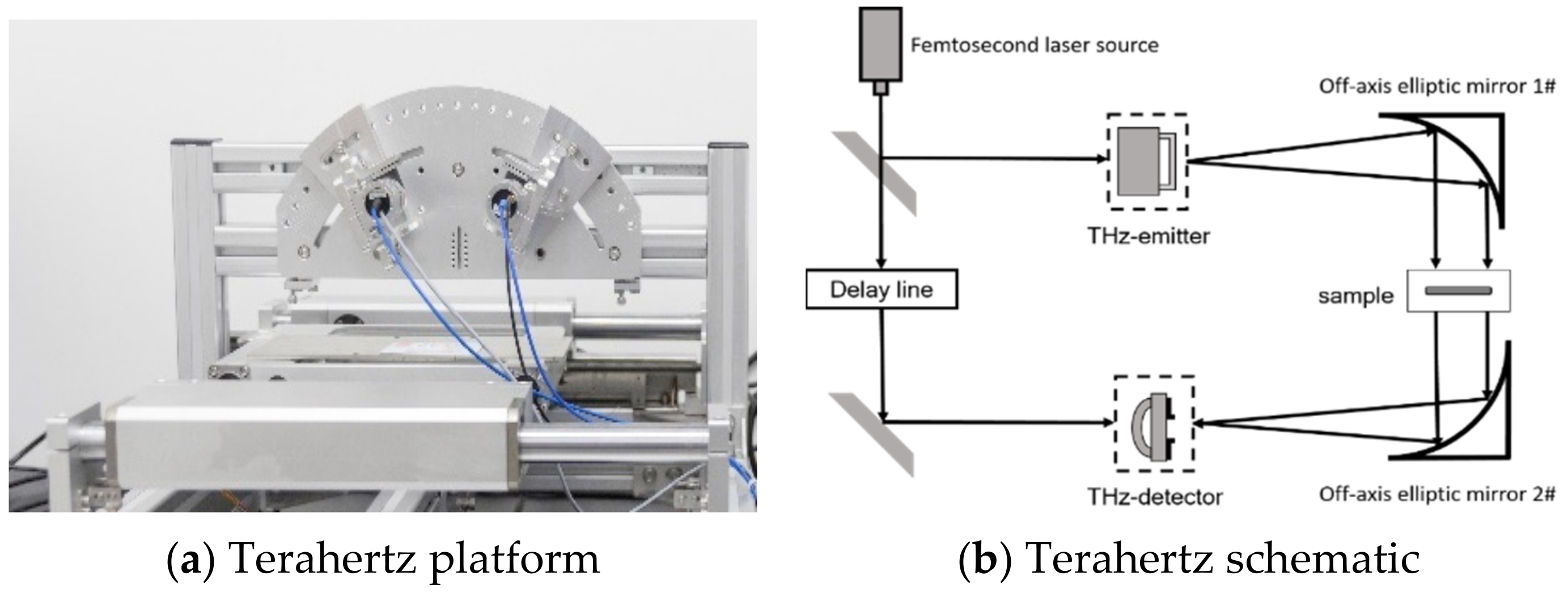 Polymers 13 04250 g004