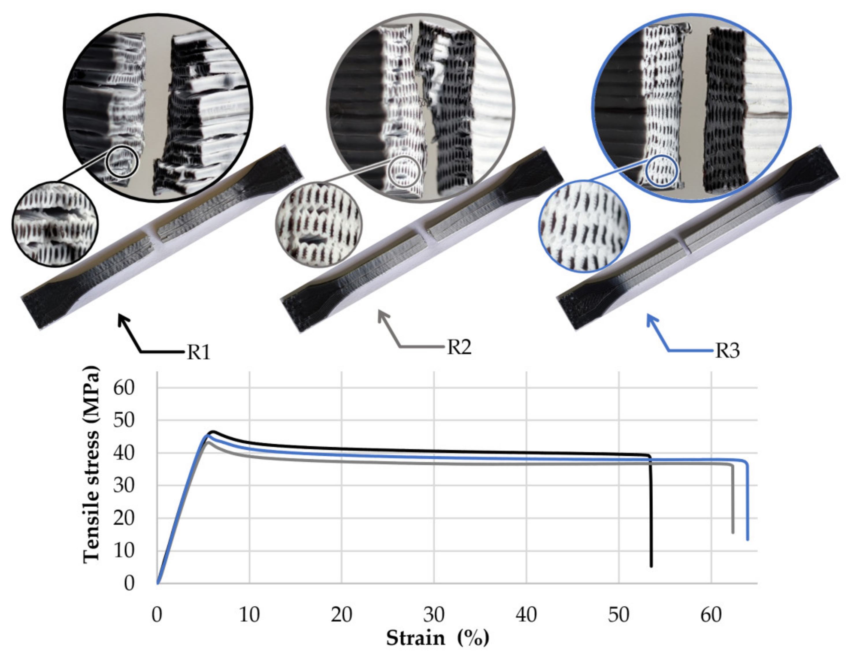 Polymers 13 04253 g004 550