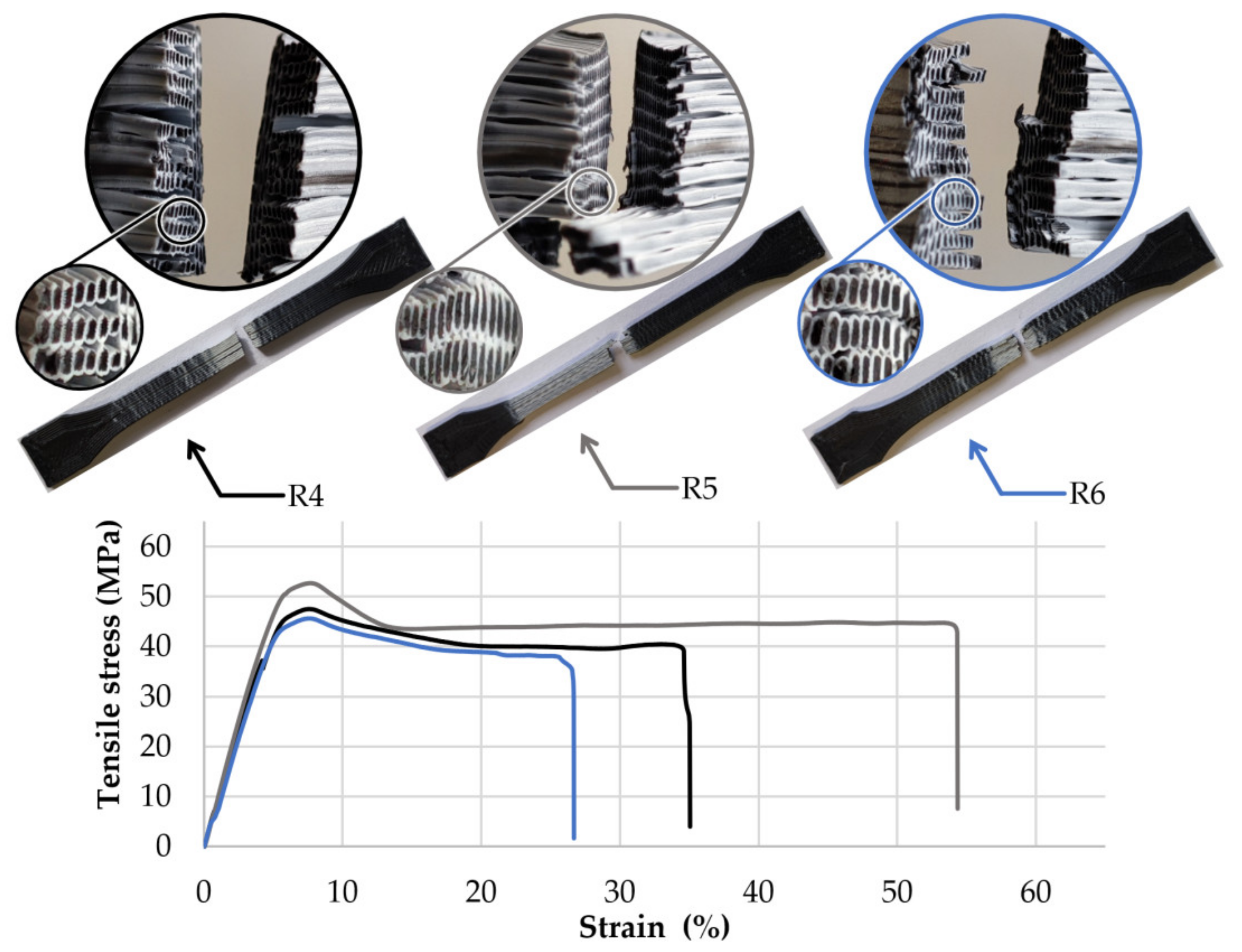 Polymers 13 04253 g005 550