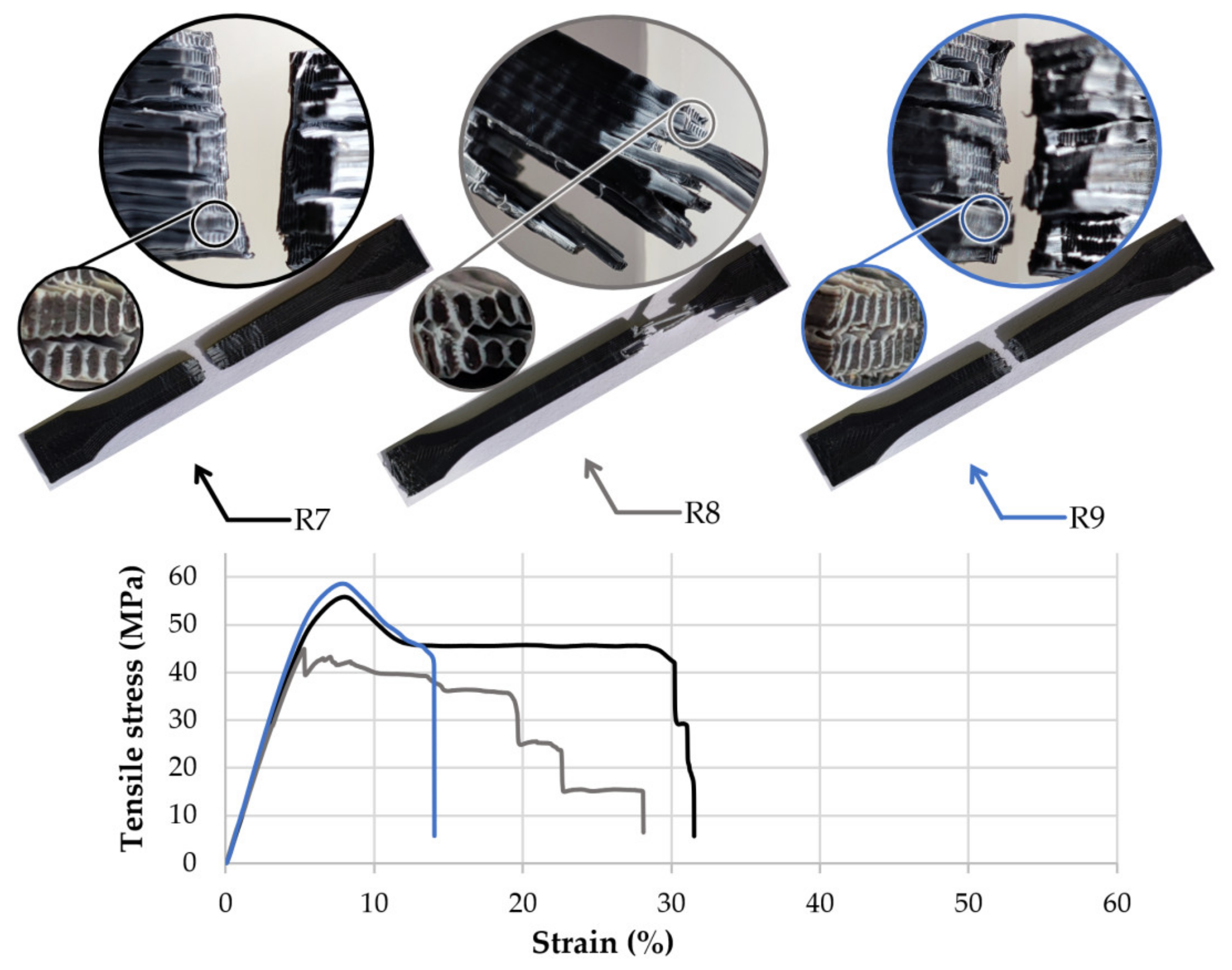Polymers 13 04253 g006 550