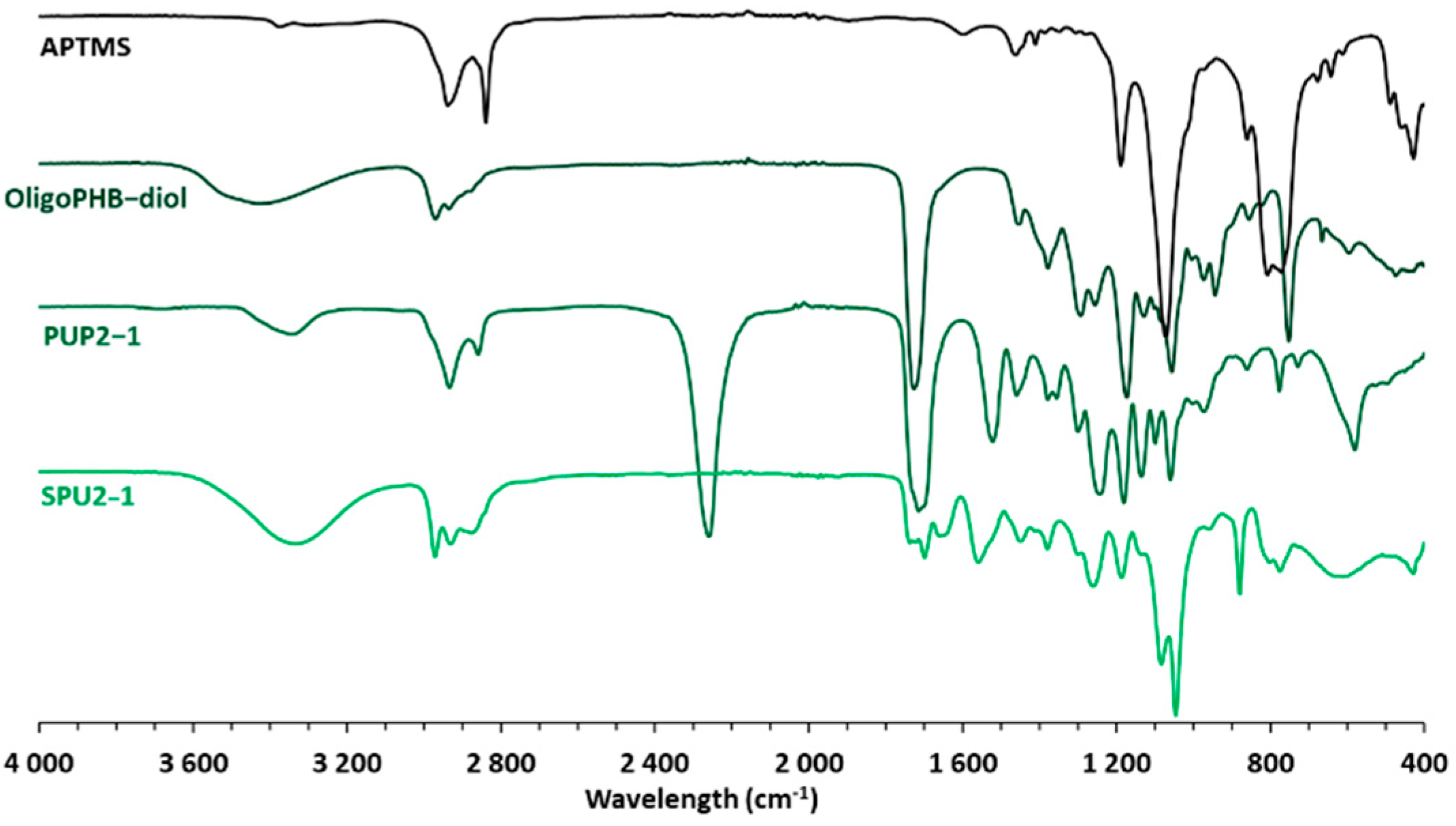 Polymers 13 04256 g002