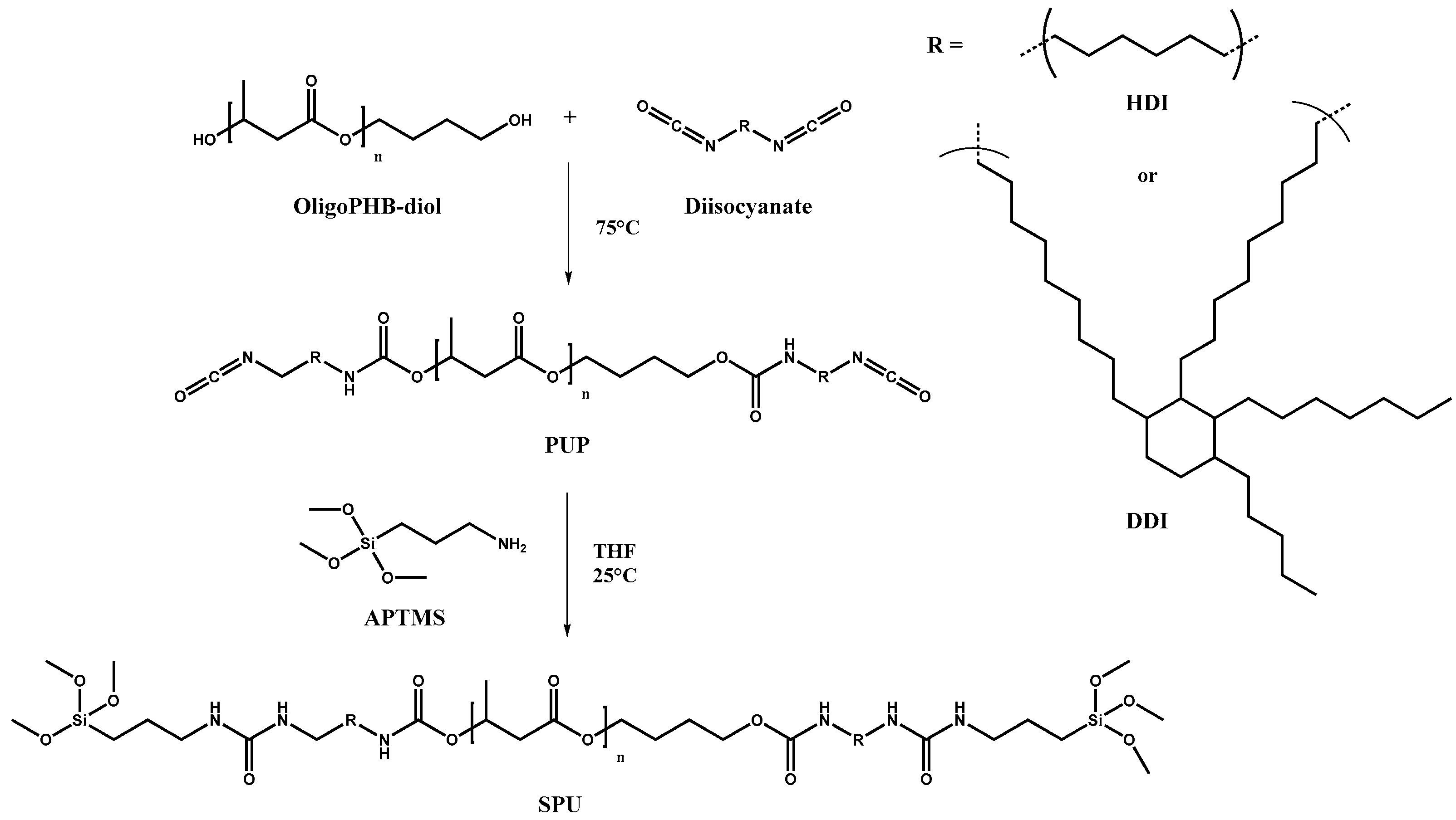 Polymers 13 04256 sch002