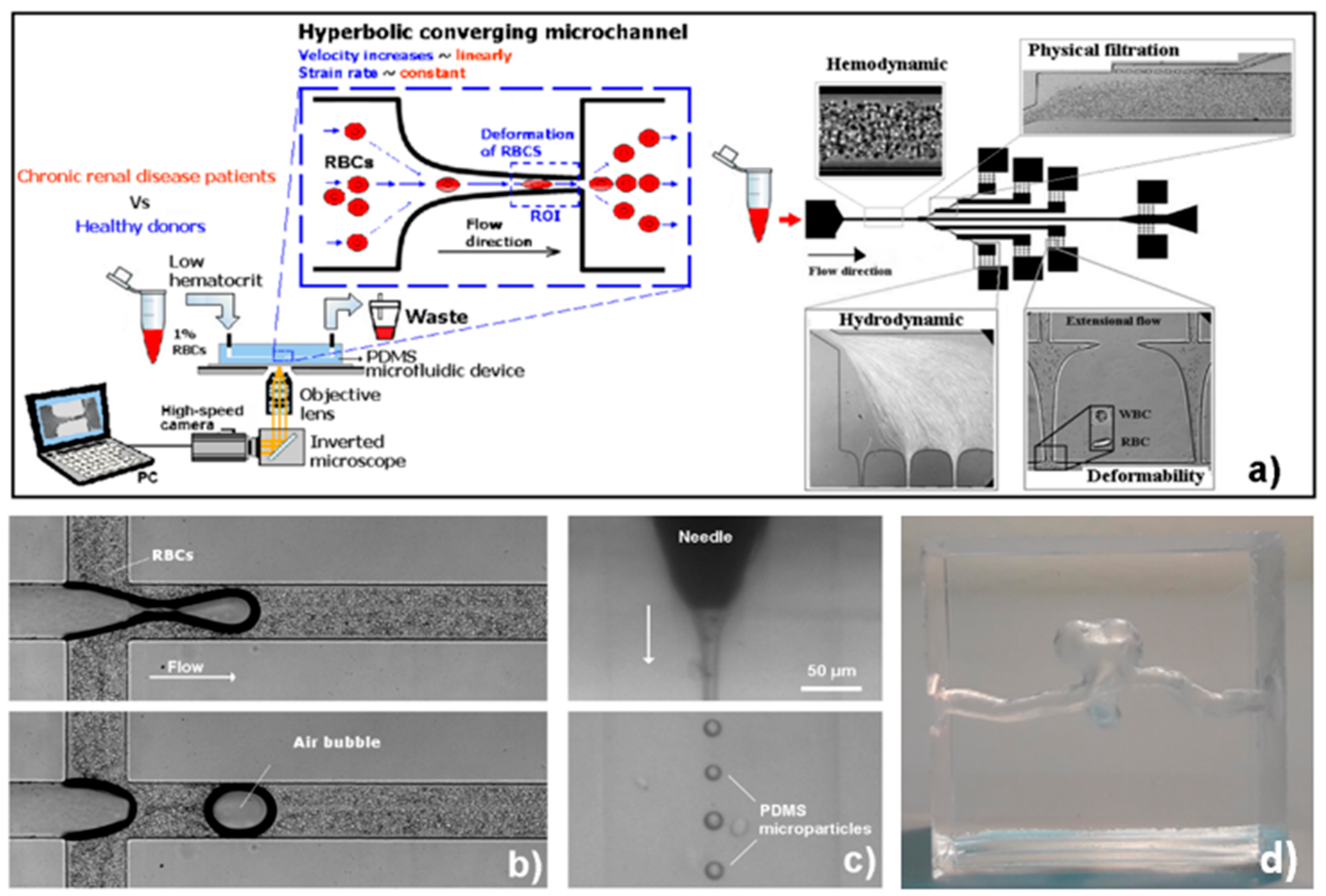Polymers 13 04258 g001