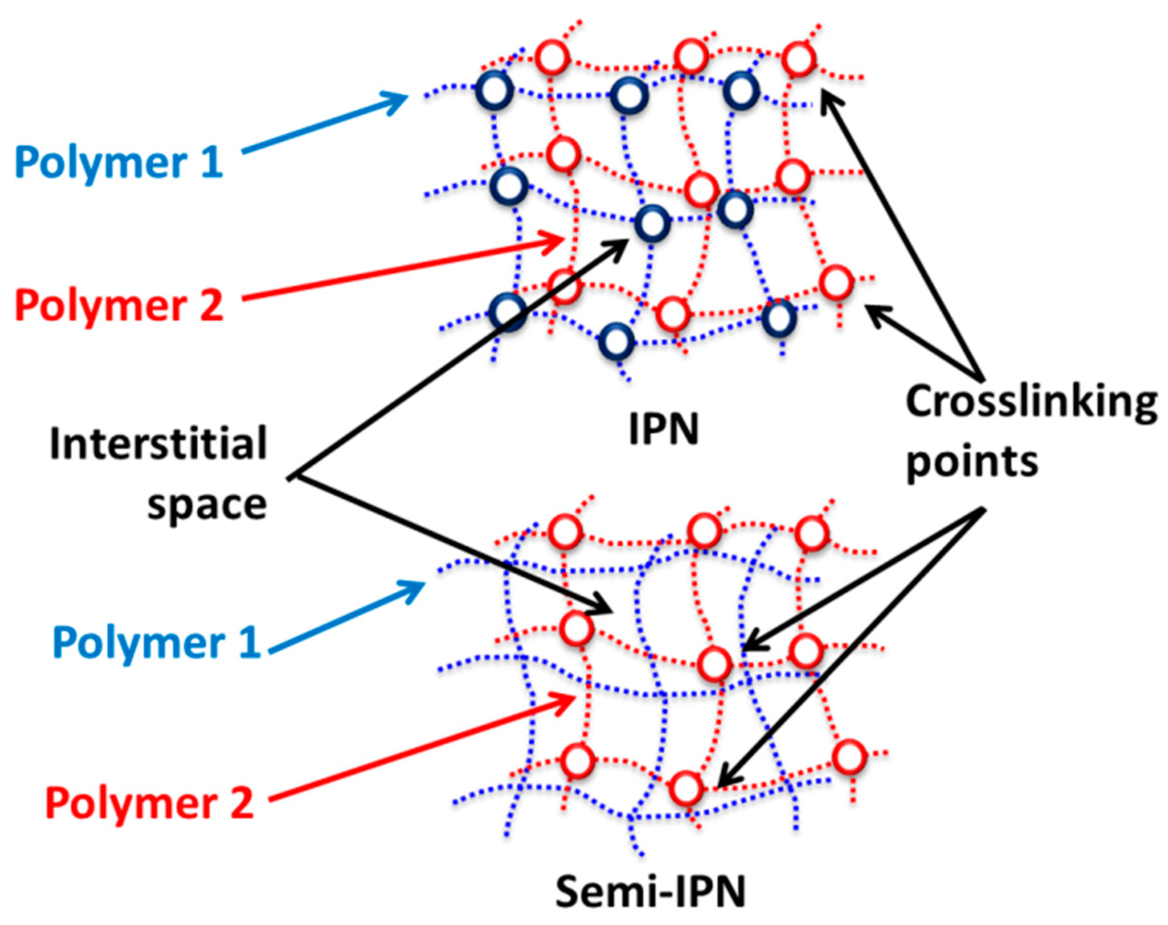 Polymers 13 04259 g003