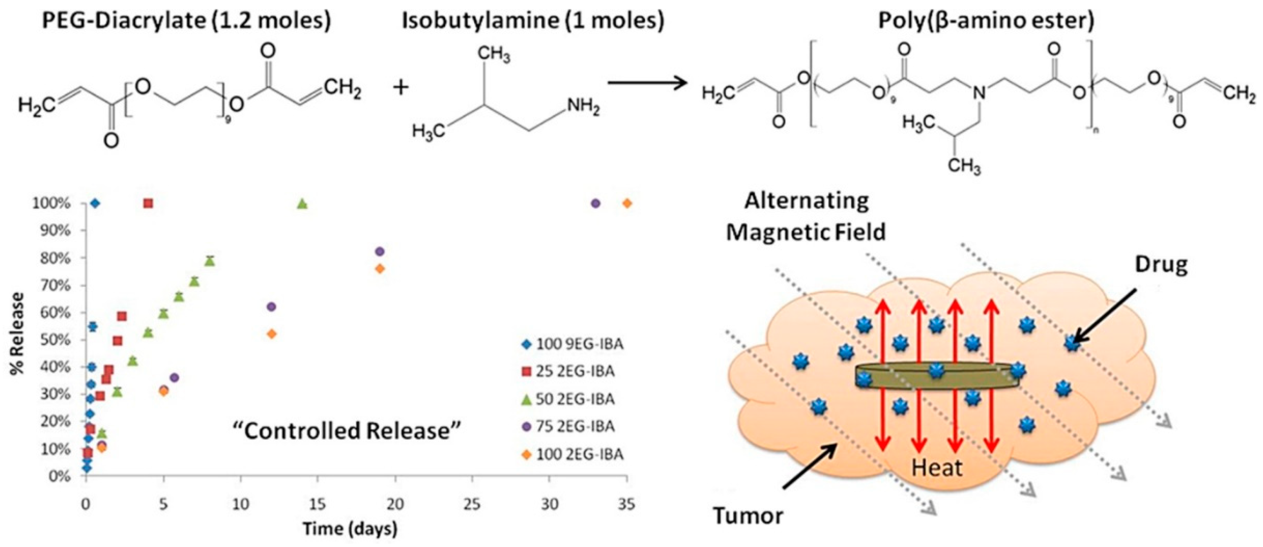 Polymers 13 04259 g007