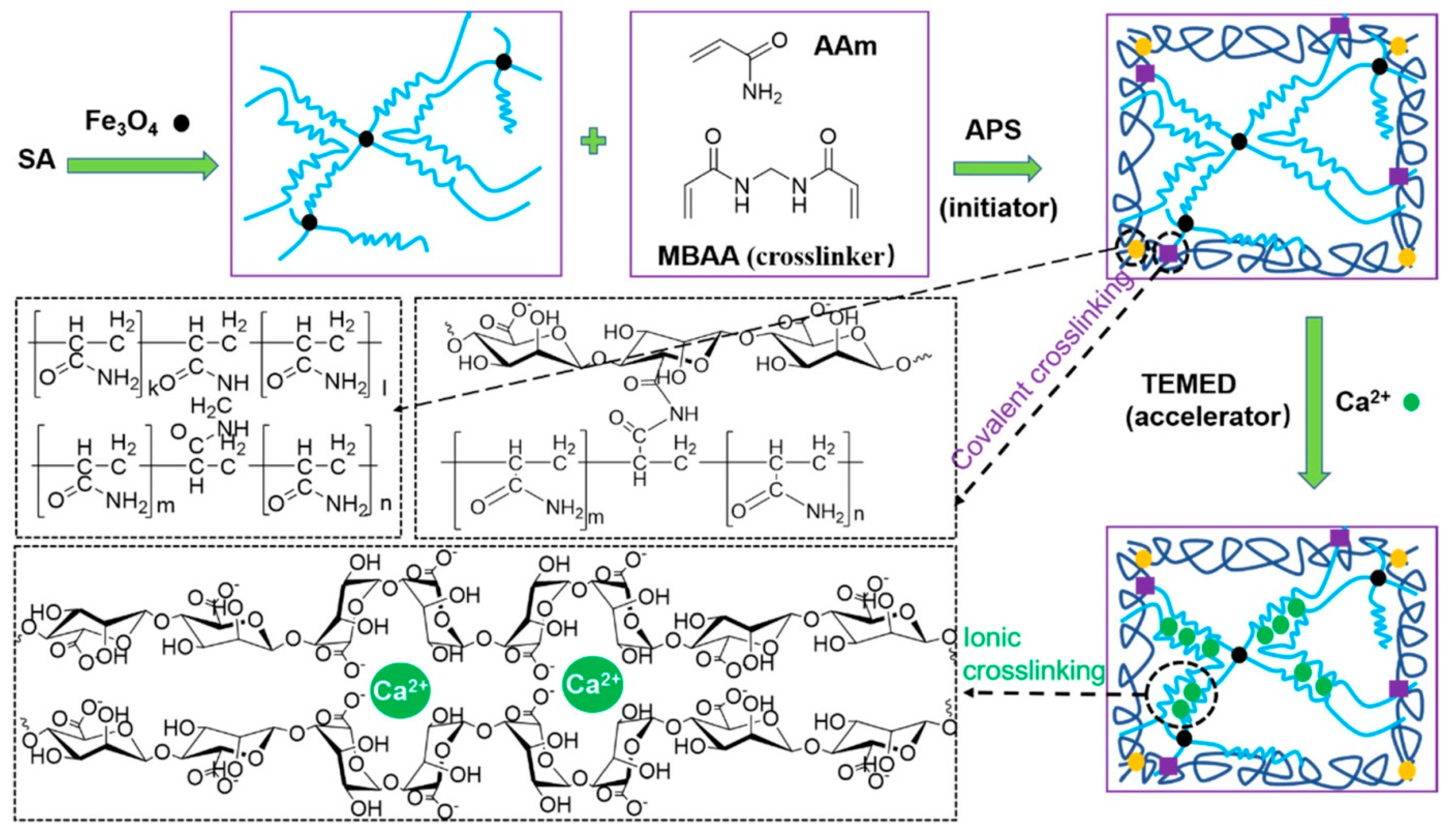 Polymers 13 04259 g010