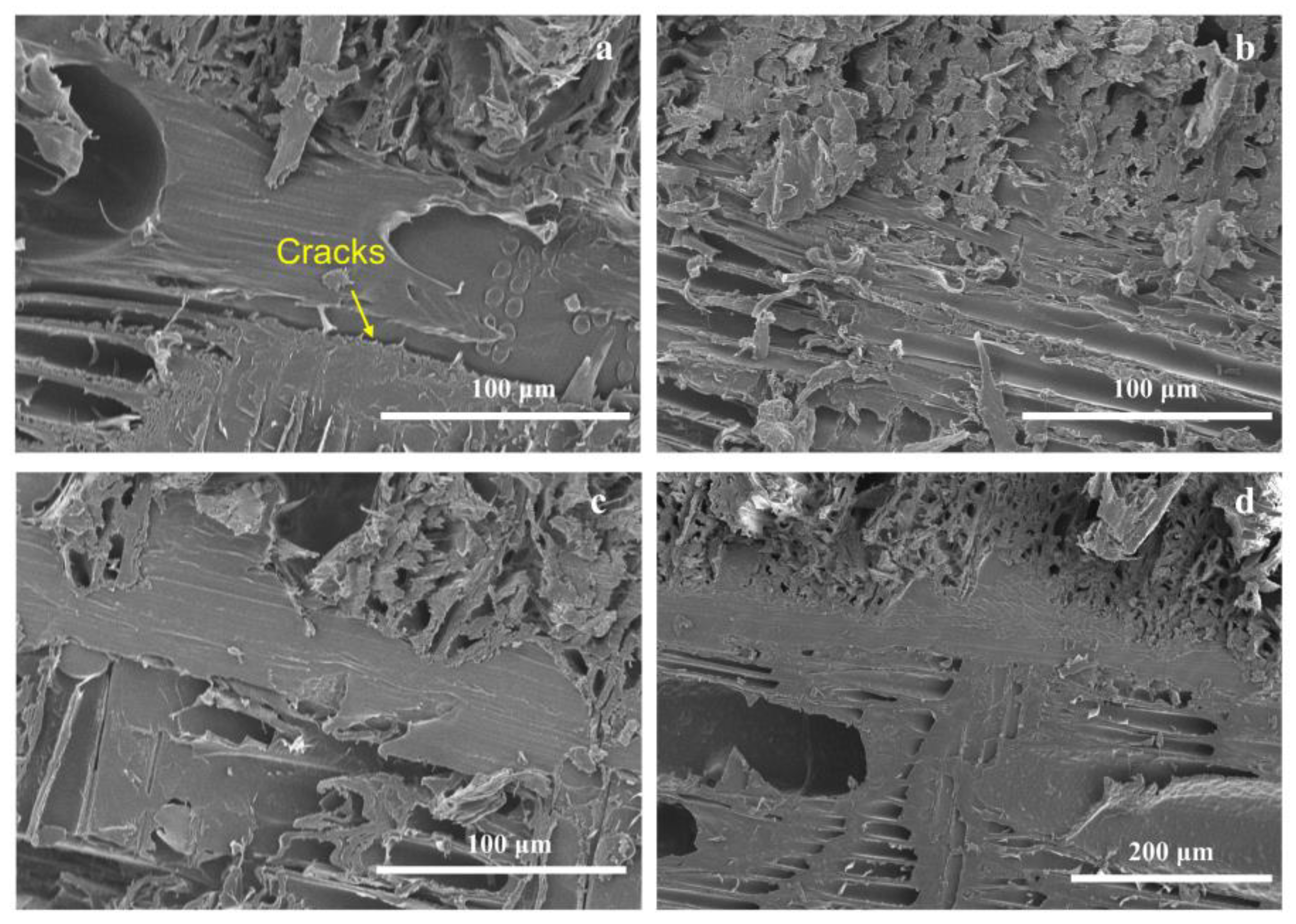 Polymers 13 04260 g005