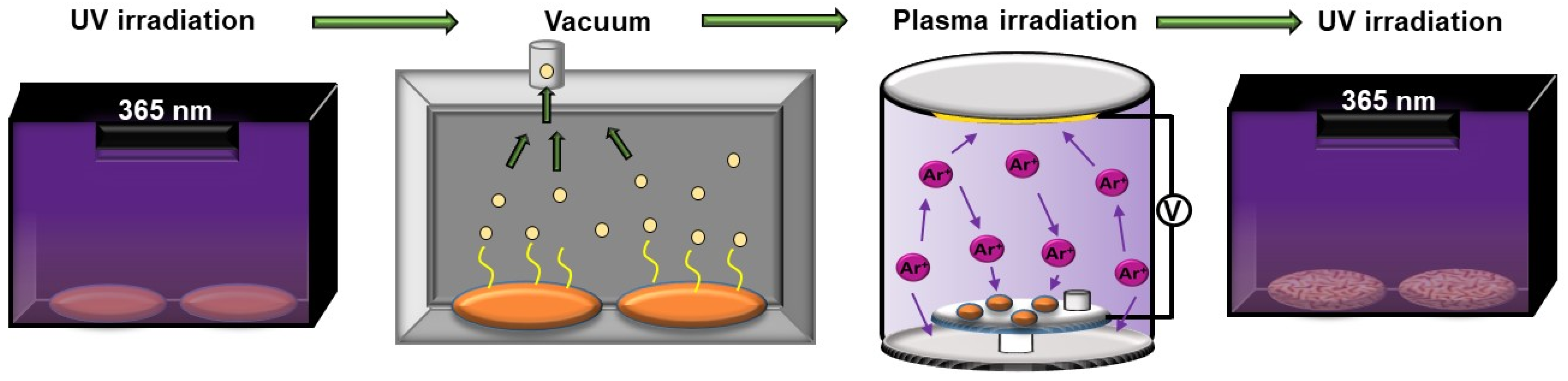 Polymers 13 04262 g001