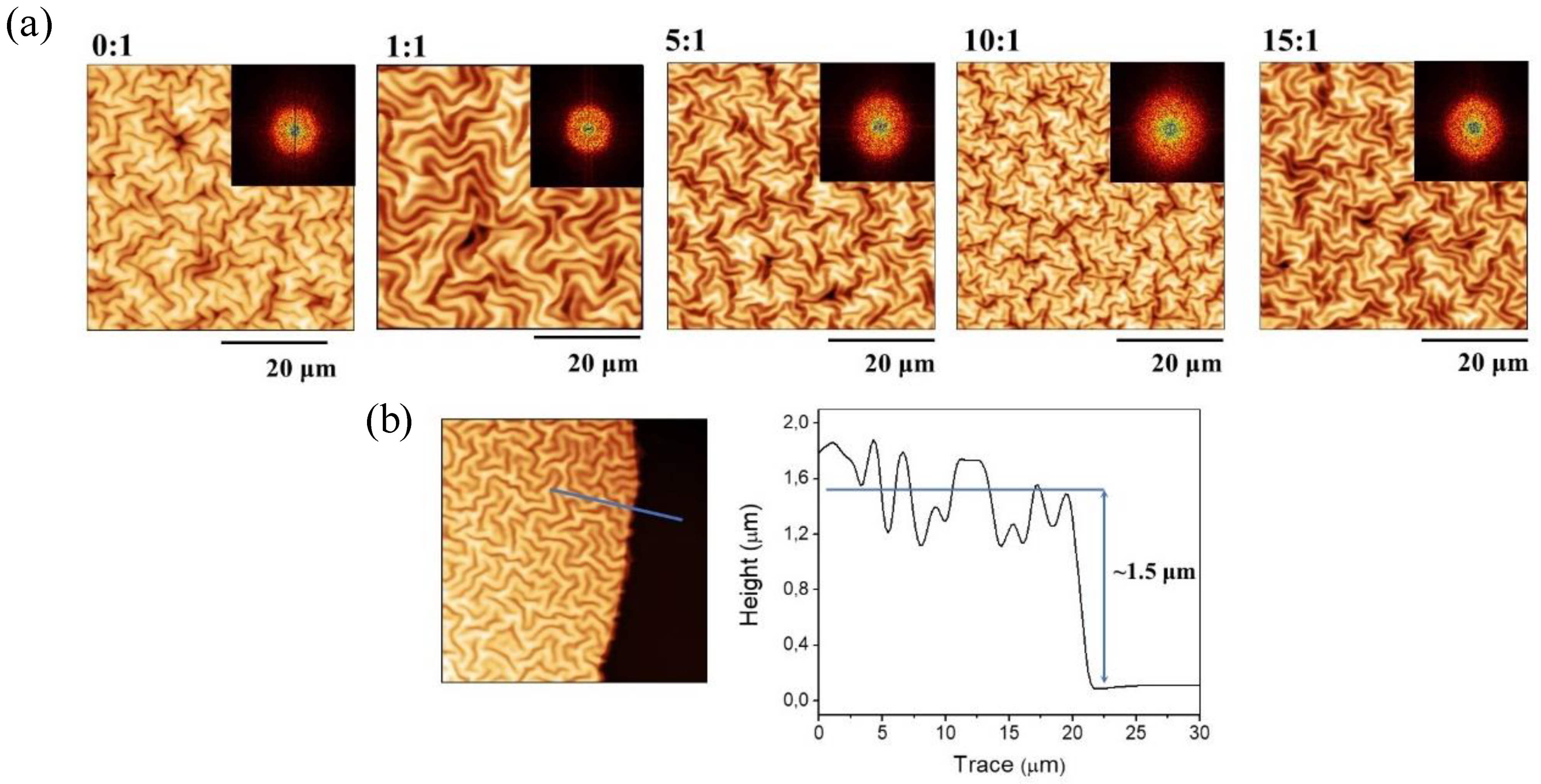 Polymers 13 04262 g004