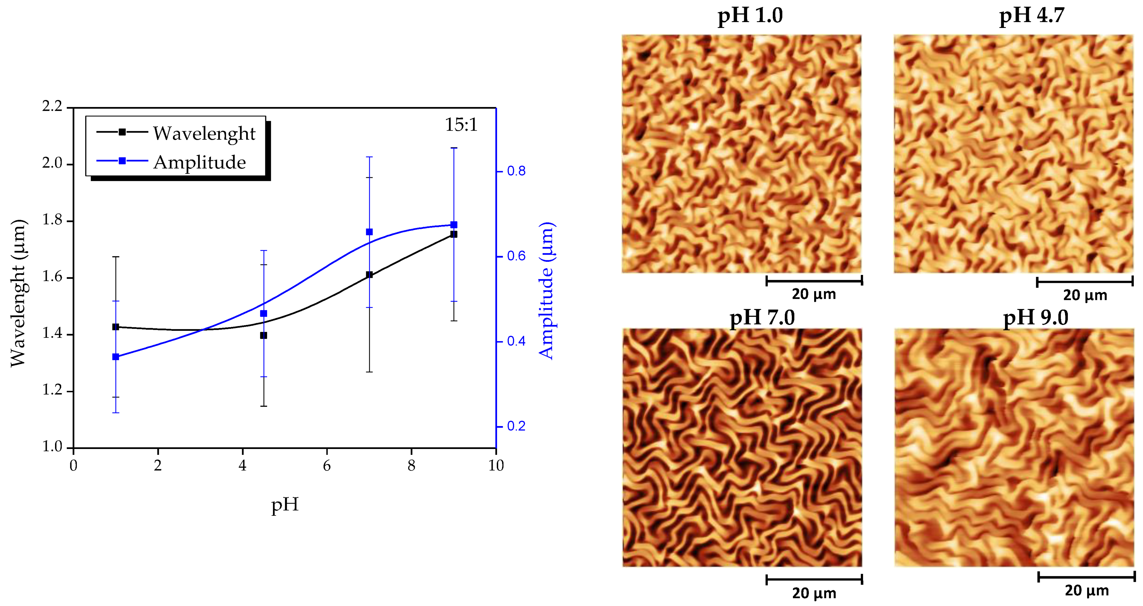 Polymers 13 04262 g008
