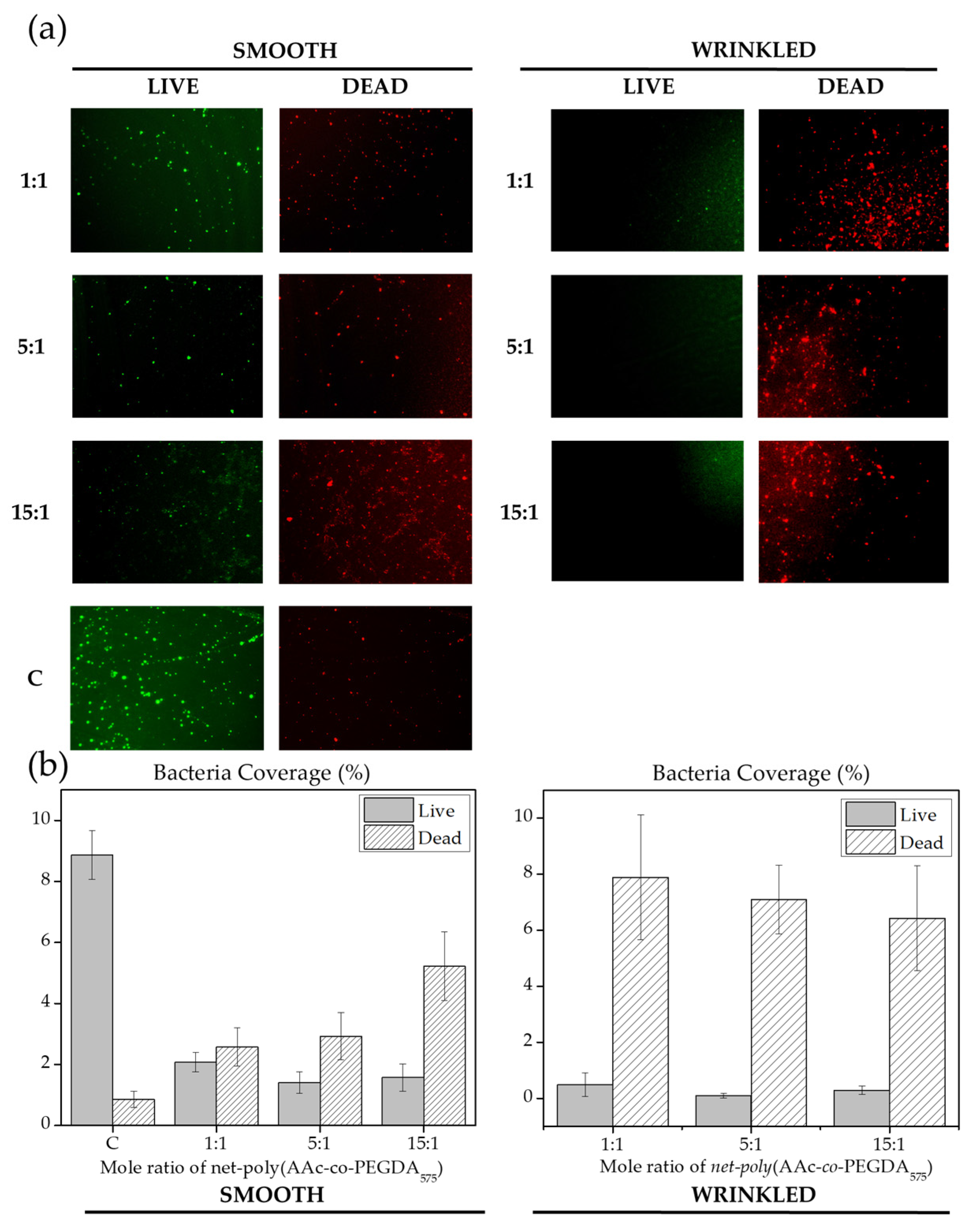 Polymers 13 04262 g010