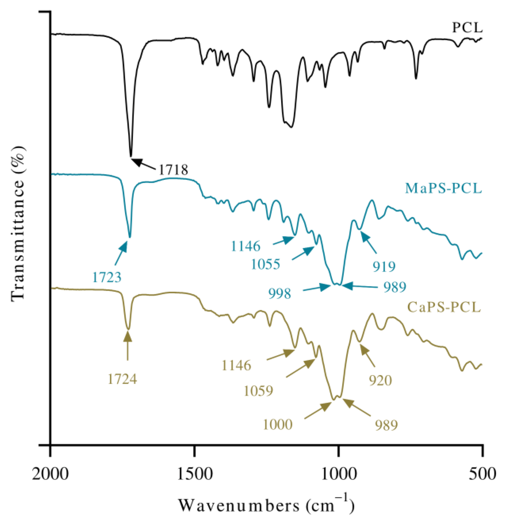 Polymers 13 04263 g002 550