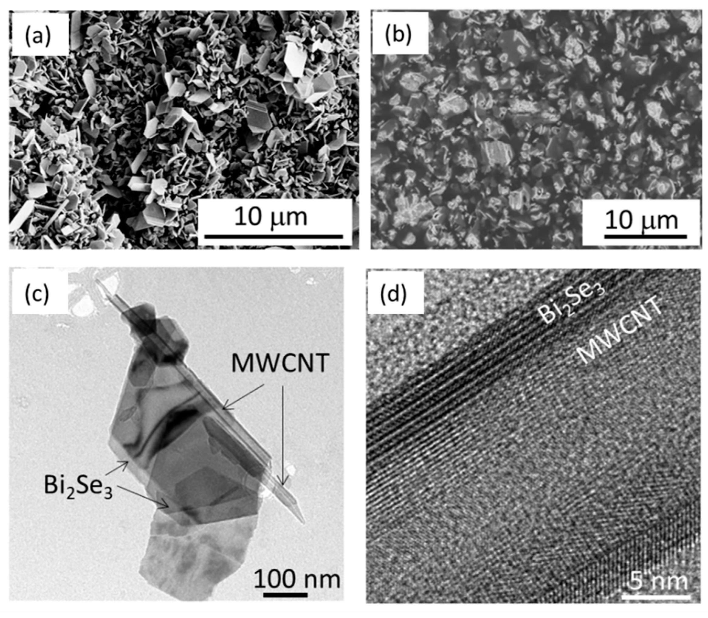 Polymers 13 04264 g001 550